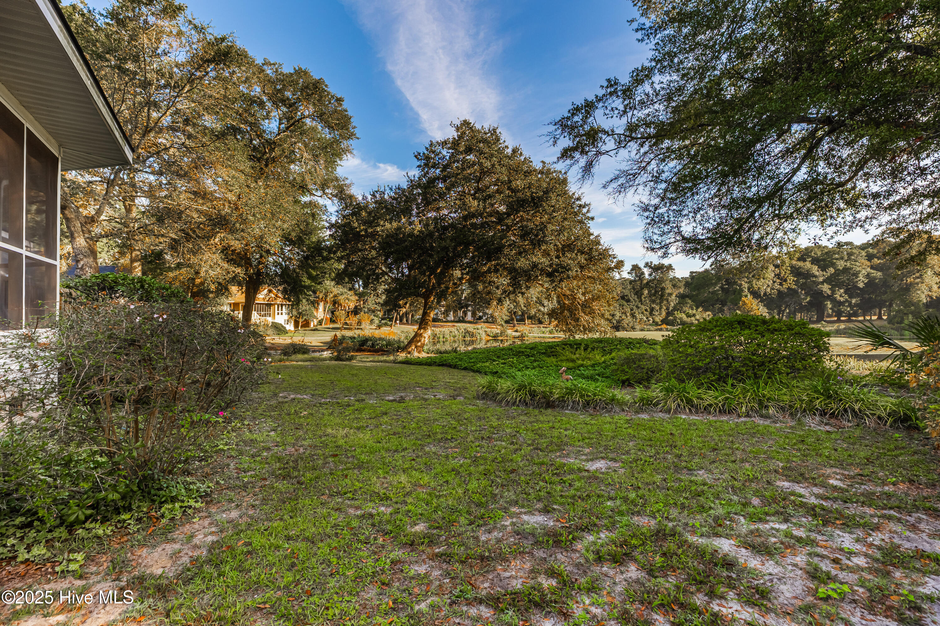 100535569 | Photo 32