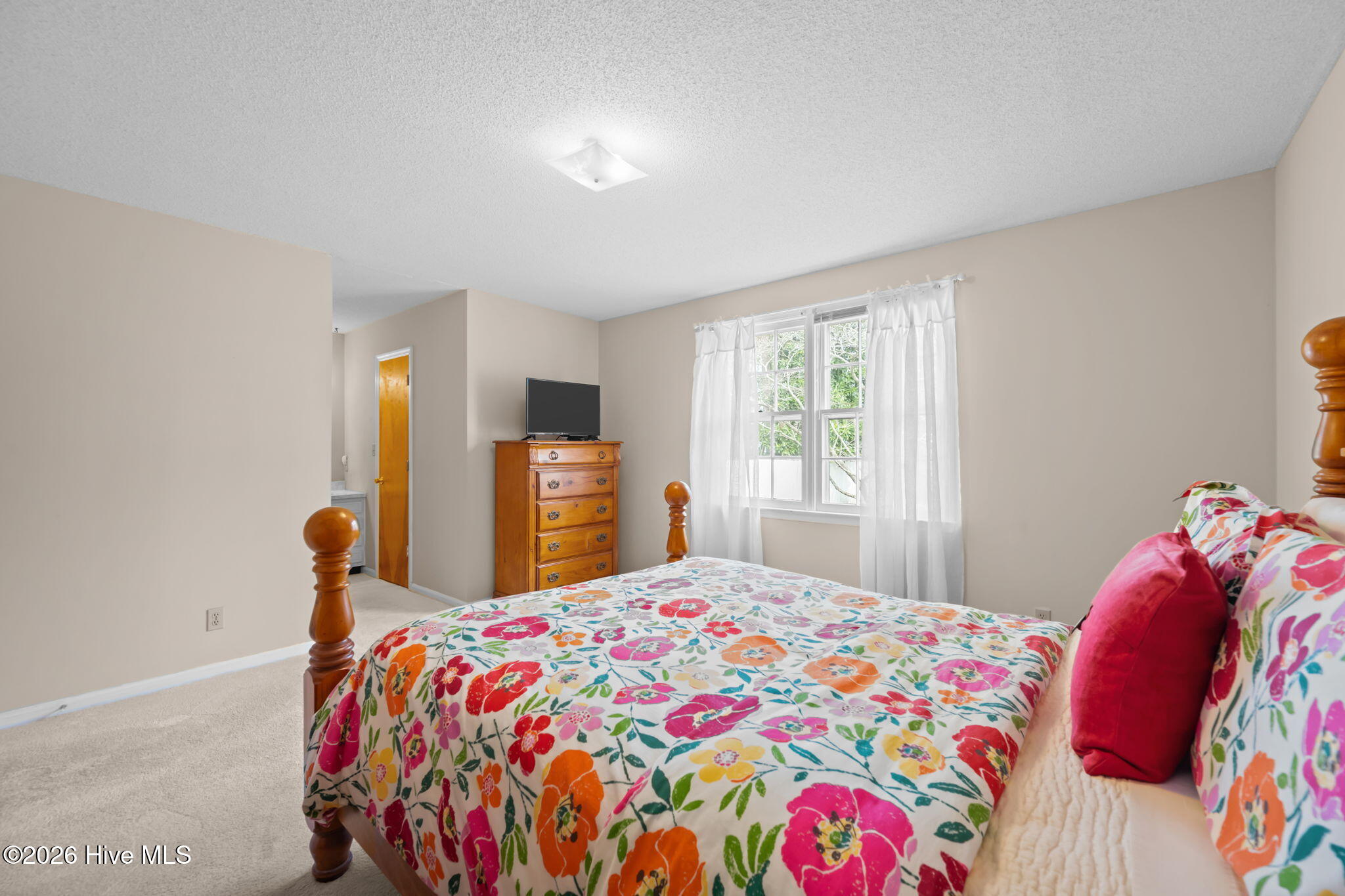 100555797 | Photo 24