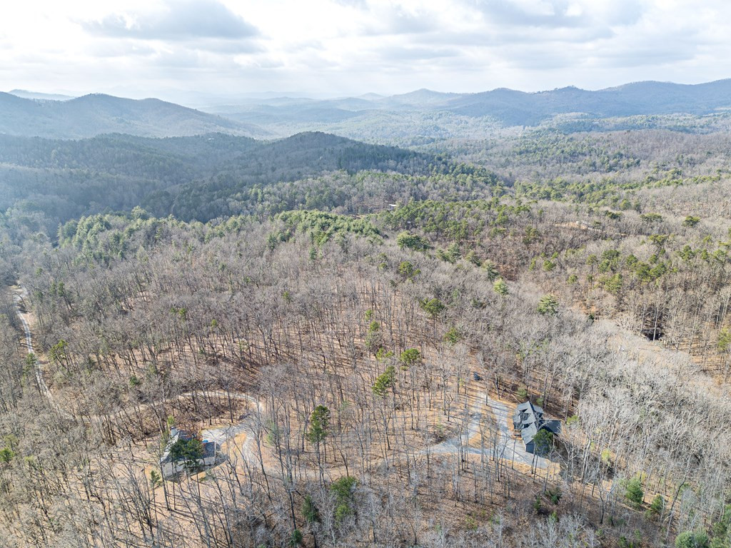 318 Tracks Hollow, Murphy, NC 28906 Listing Photo  50