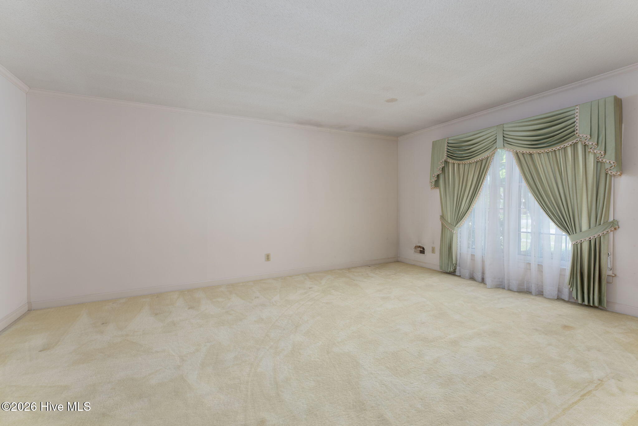 100566368 | Photo 16