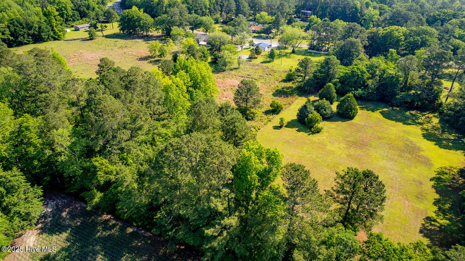 100507211 | Photo 11