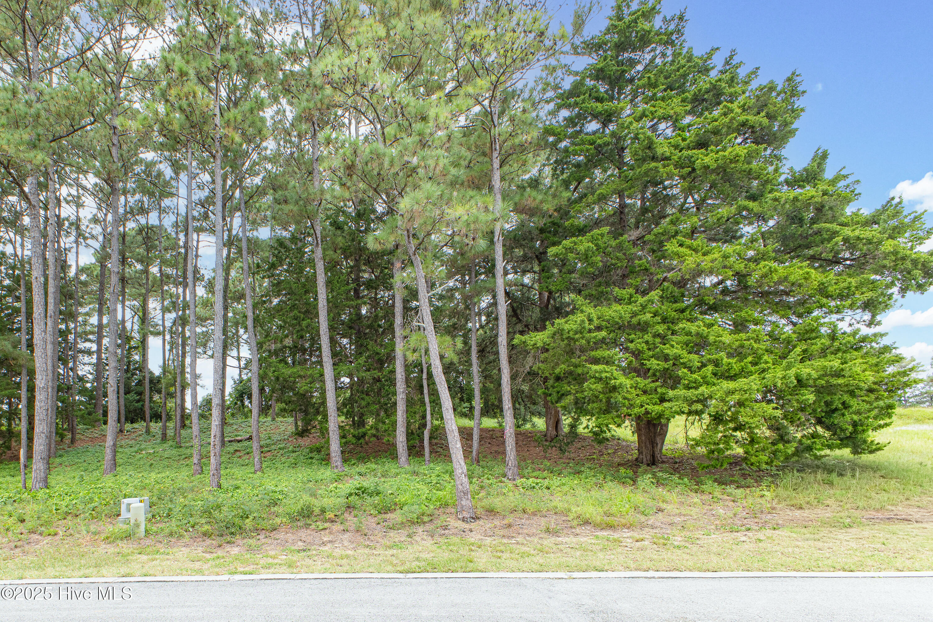 100529812 | Photo 13