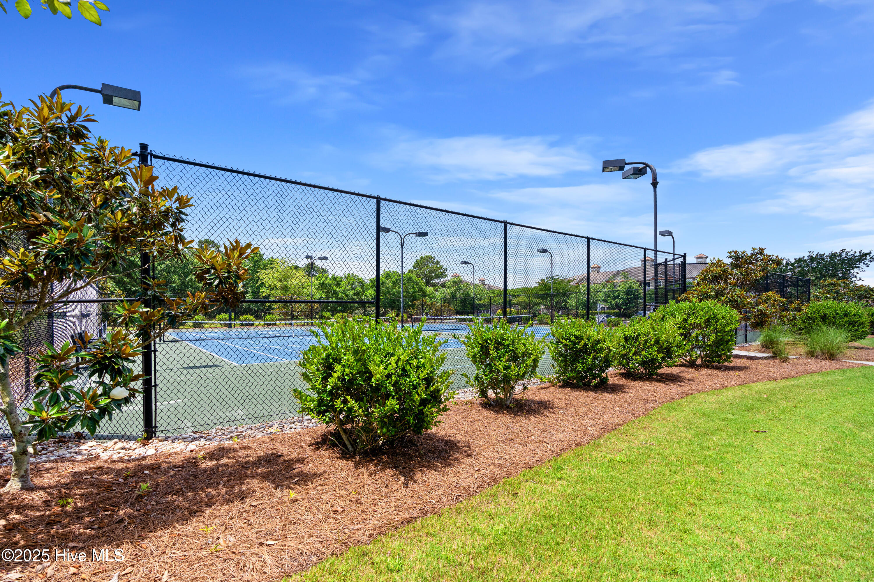 100502305 | Photo 40