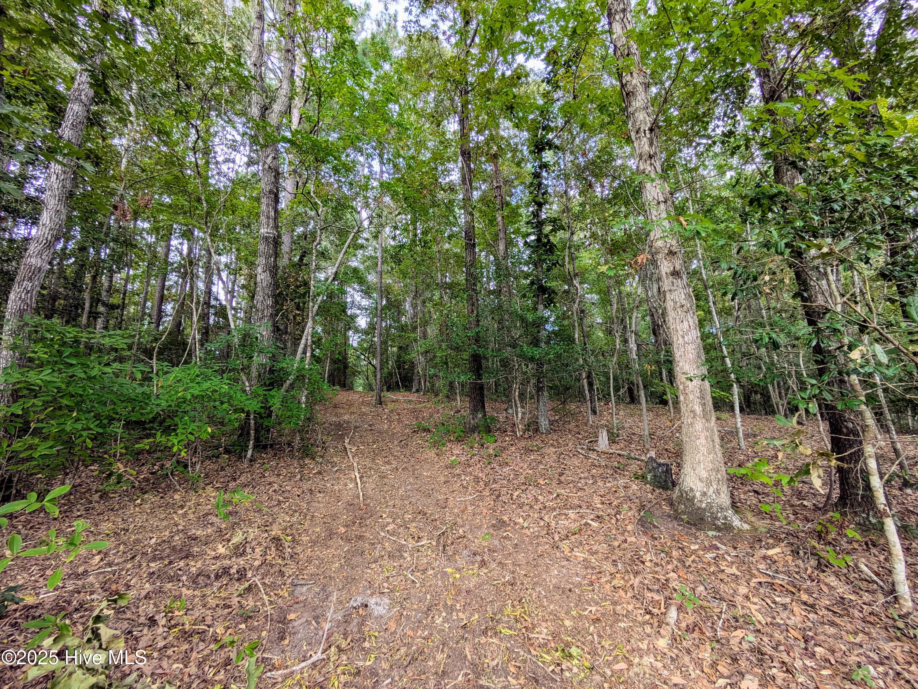 100535245 | Photo 22