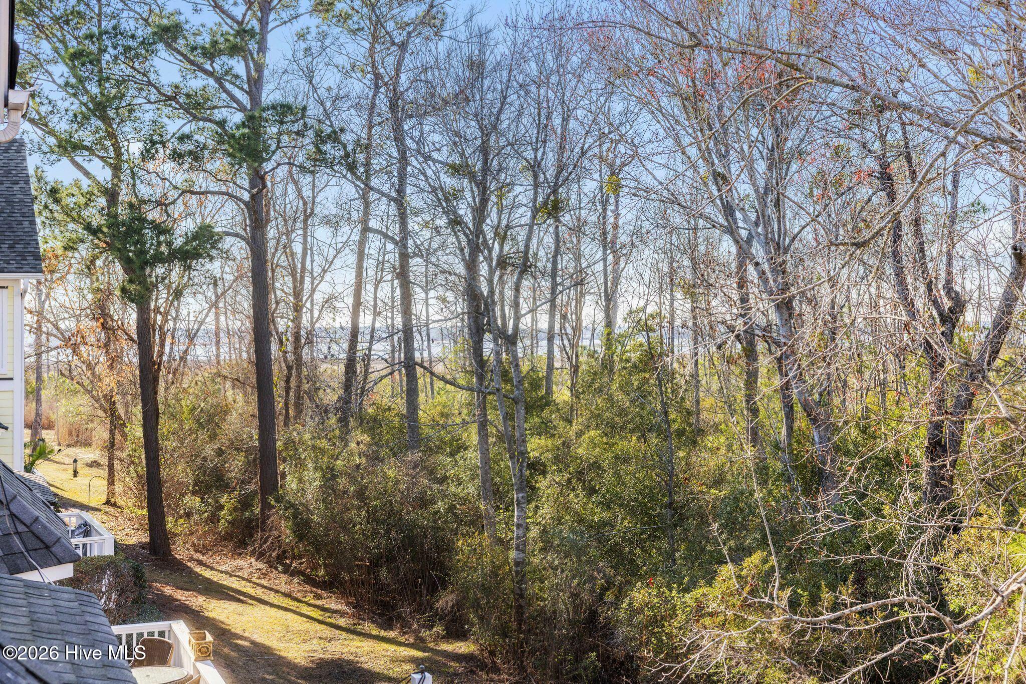 100560146 | Photo 45