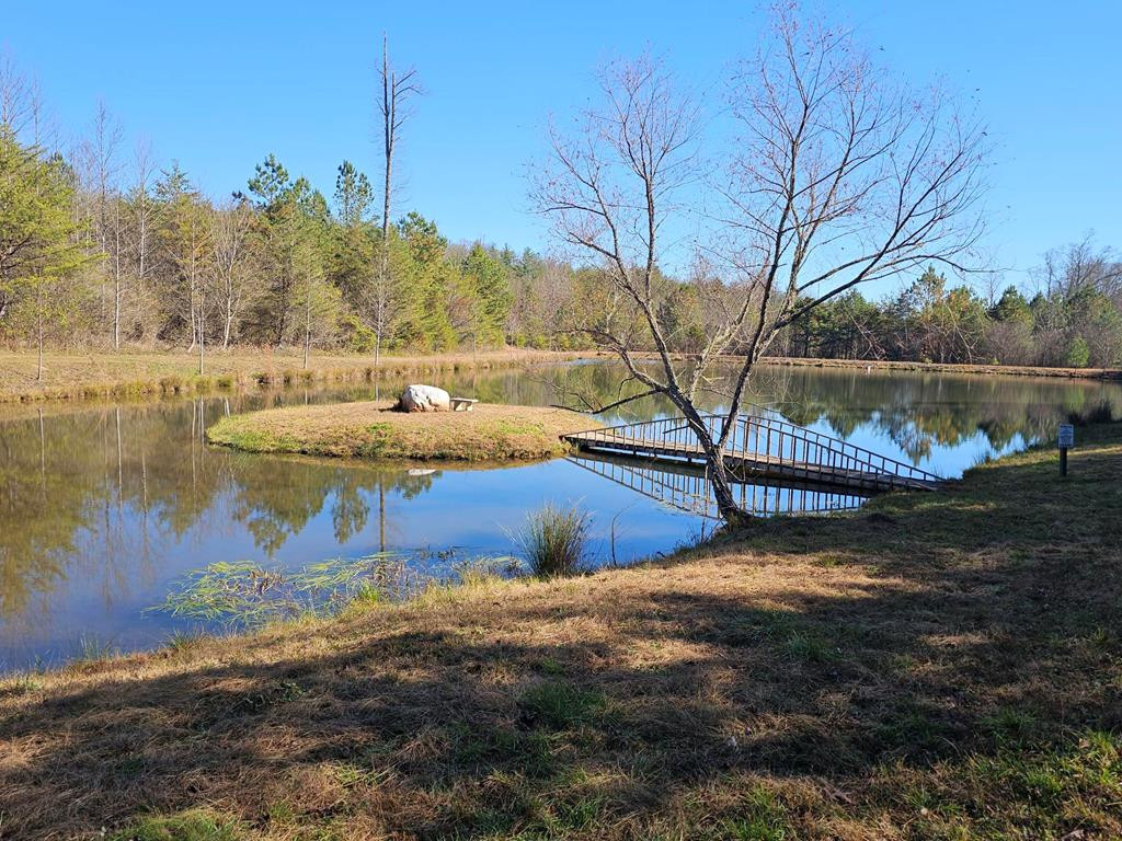 Pond Common Area