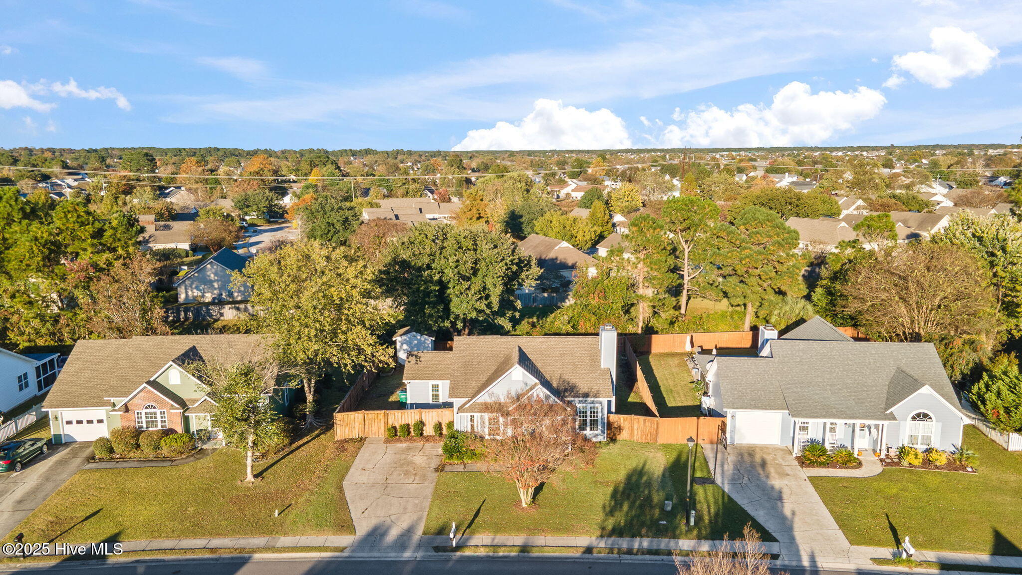 100539678 | Photo 44