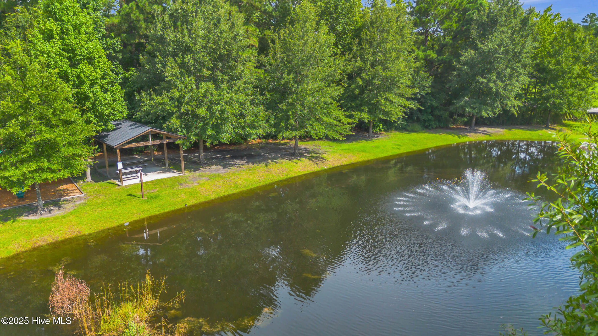 100549260 | Photo 46