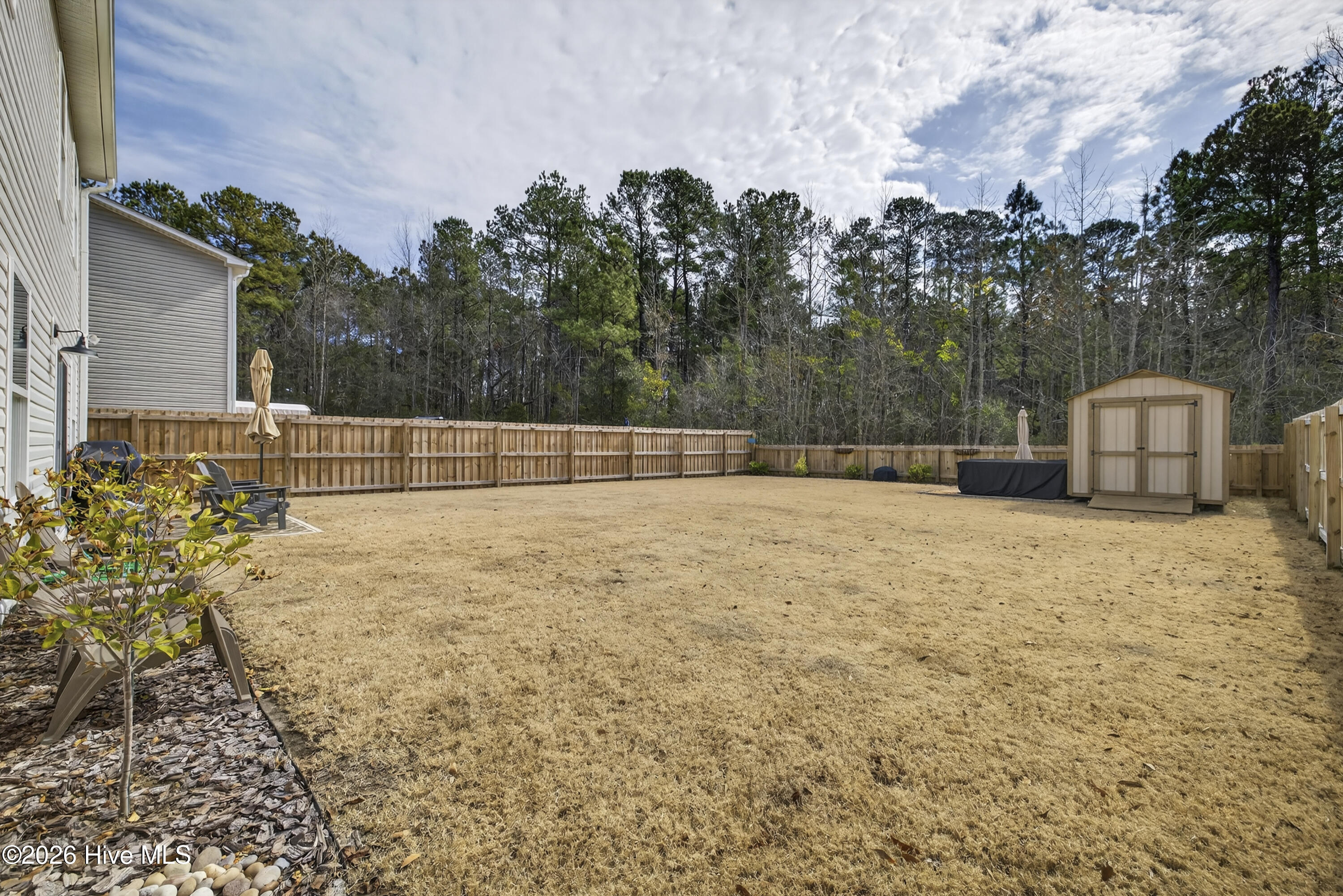 100554086 | Photo 40