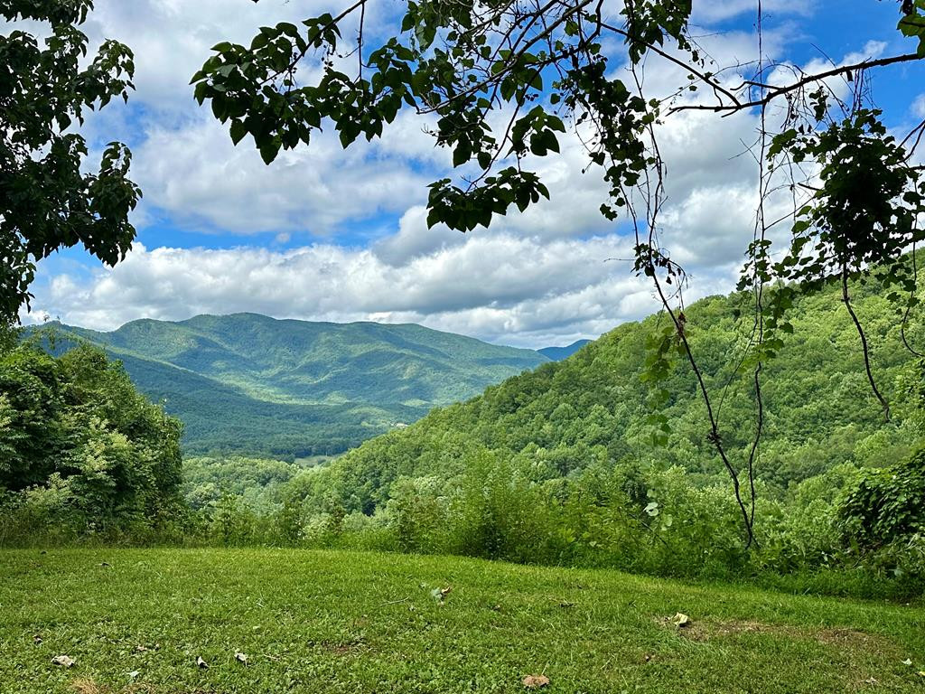 Listing Photo 98511502