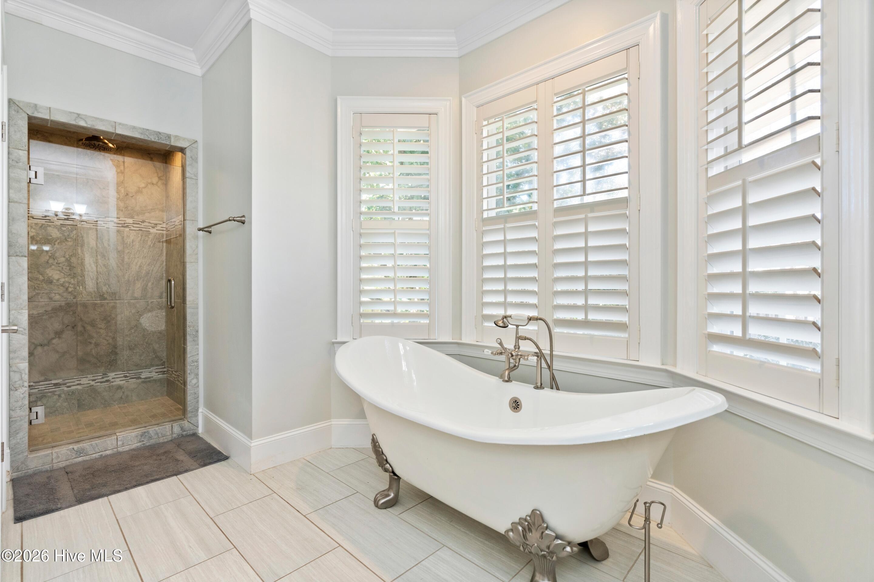 100549669 | Photo 38