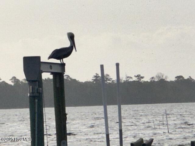 209 Shore Road, Newport, NC, 28570