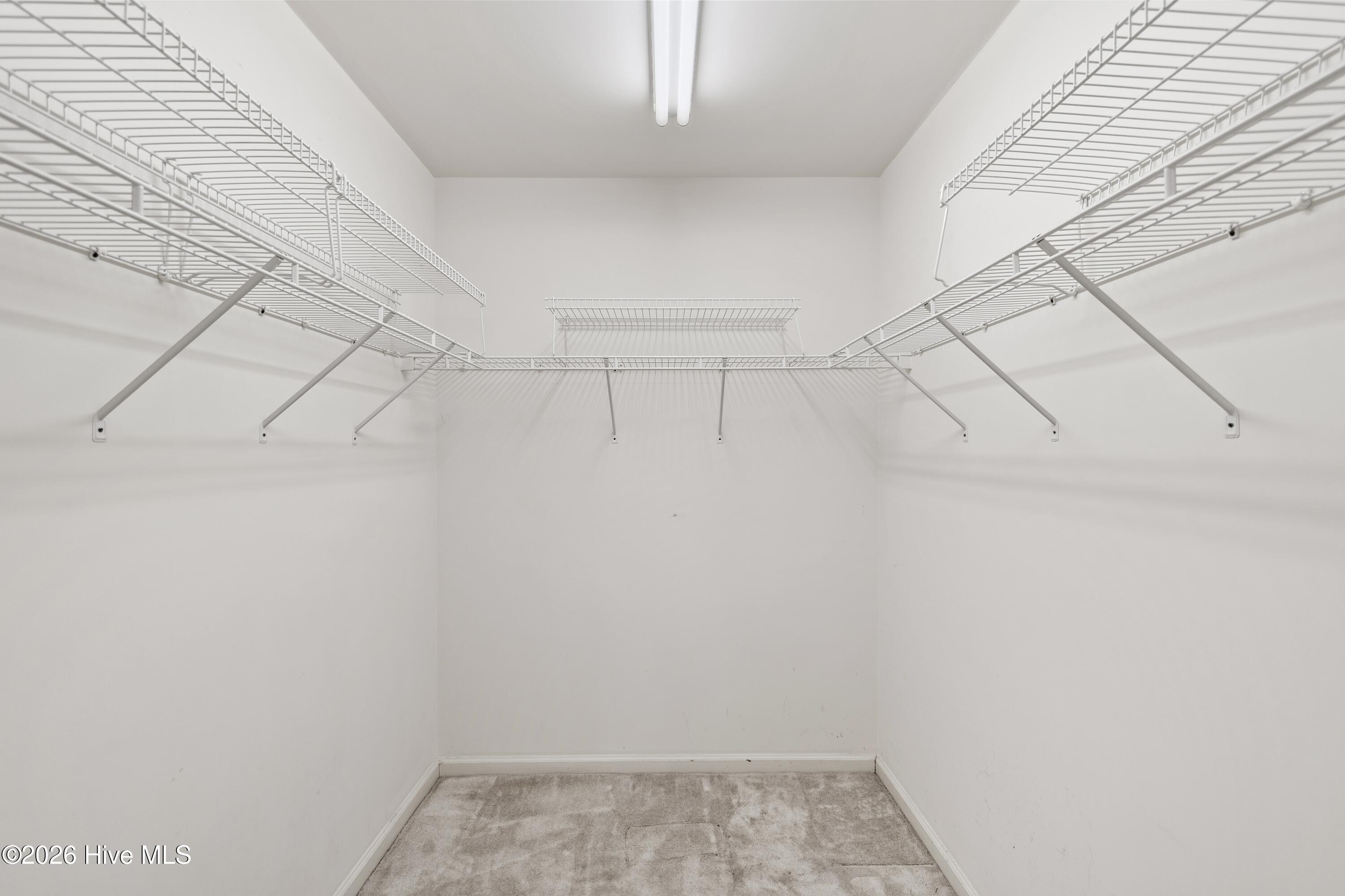 100569174 | Photo 18