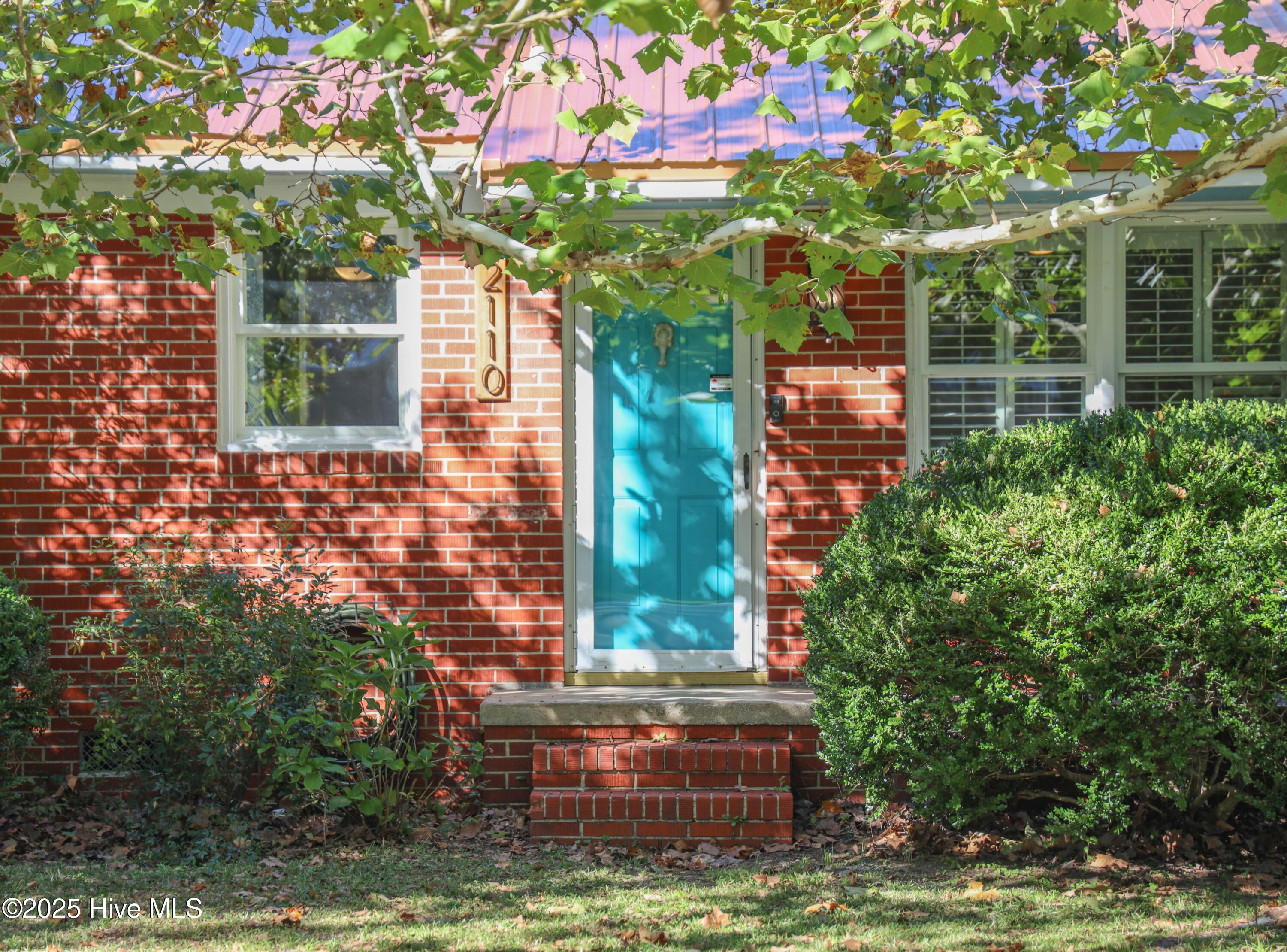 100537869 | Photo 68