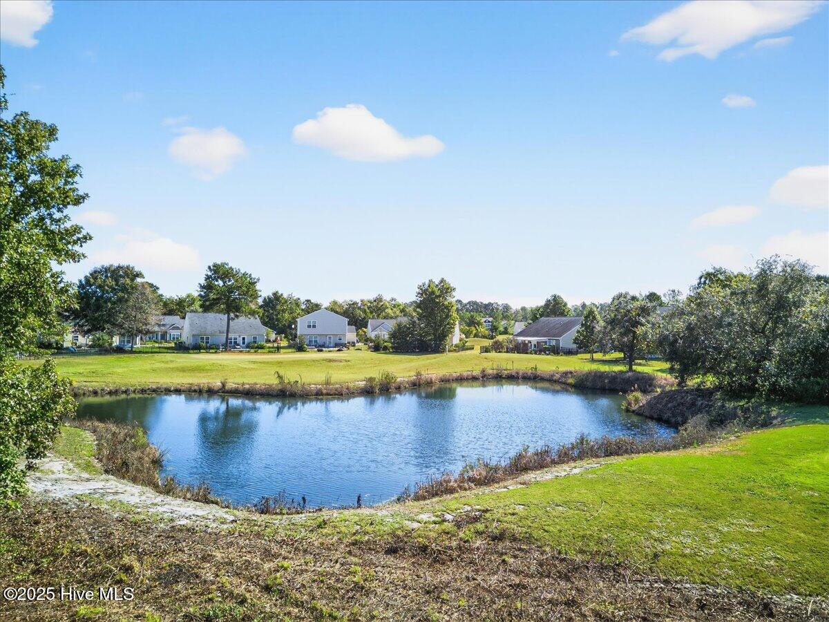 100537745 | Photo 47