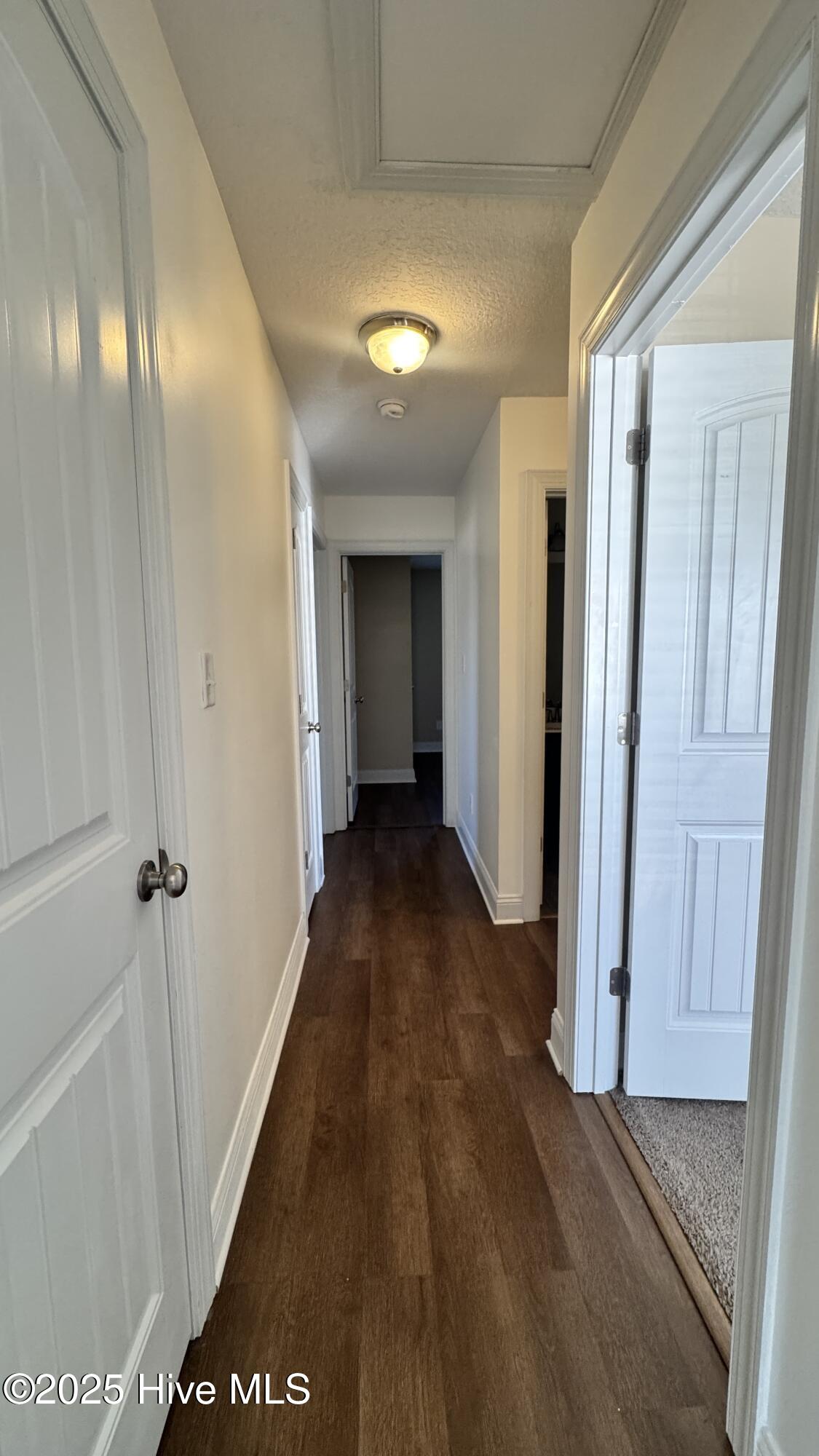 100539749 | Photo 15