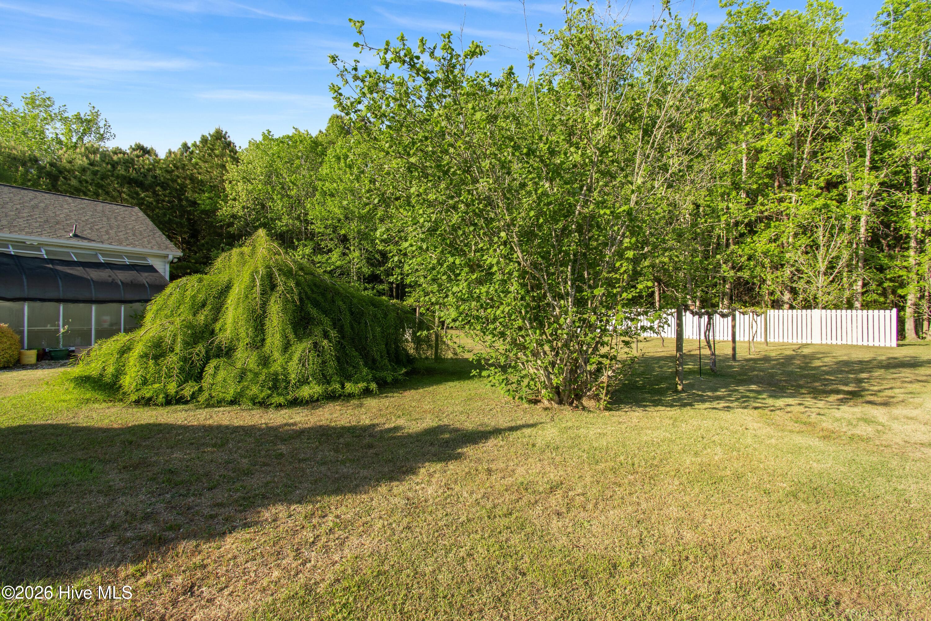 100568231 | Photo 19