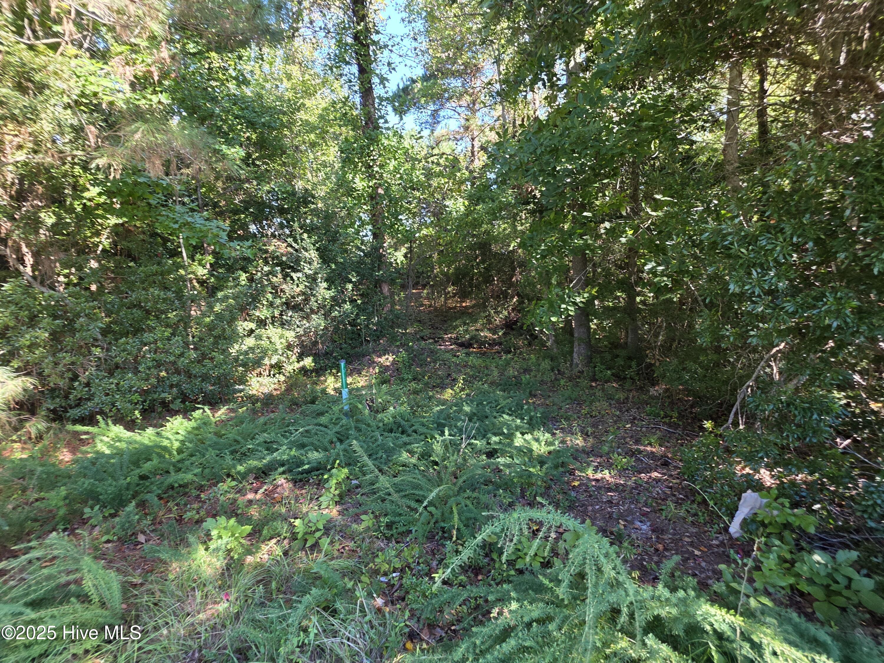 100564274 | Photo 32