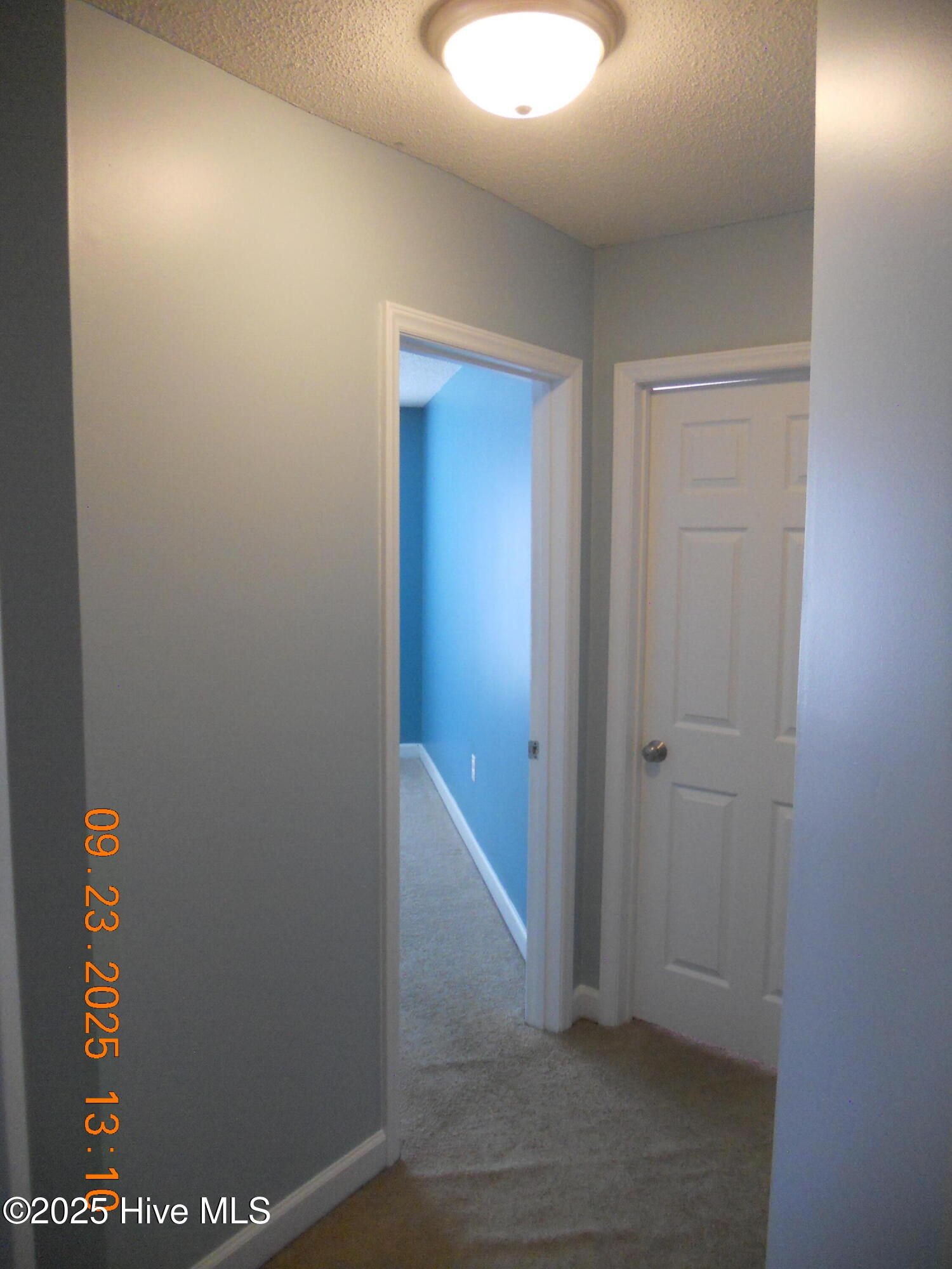 100532351 | Photo 34