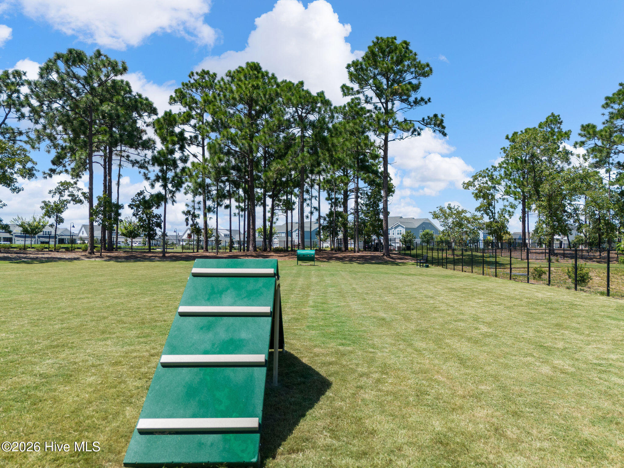 100548010 | Photo 59