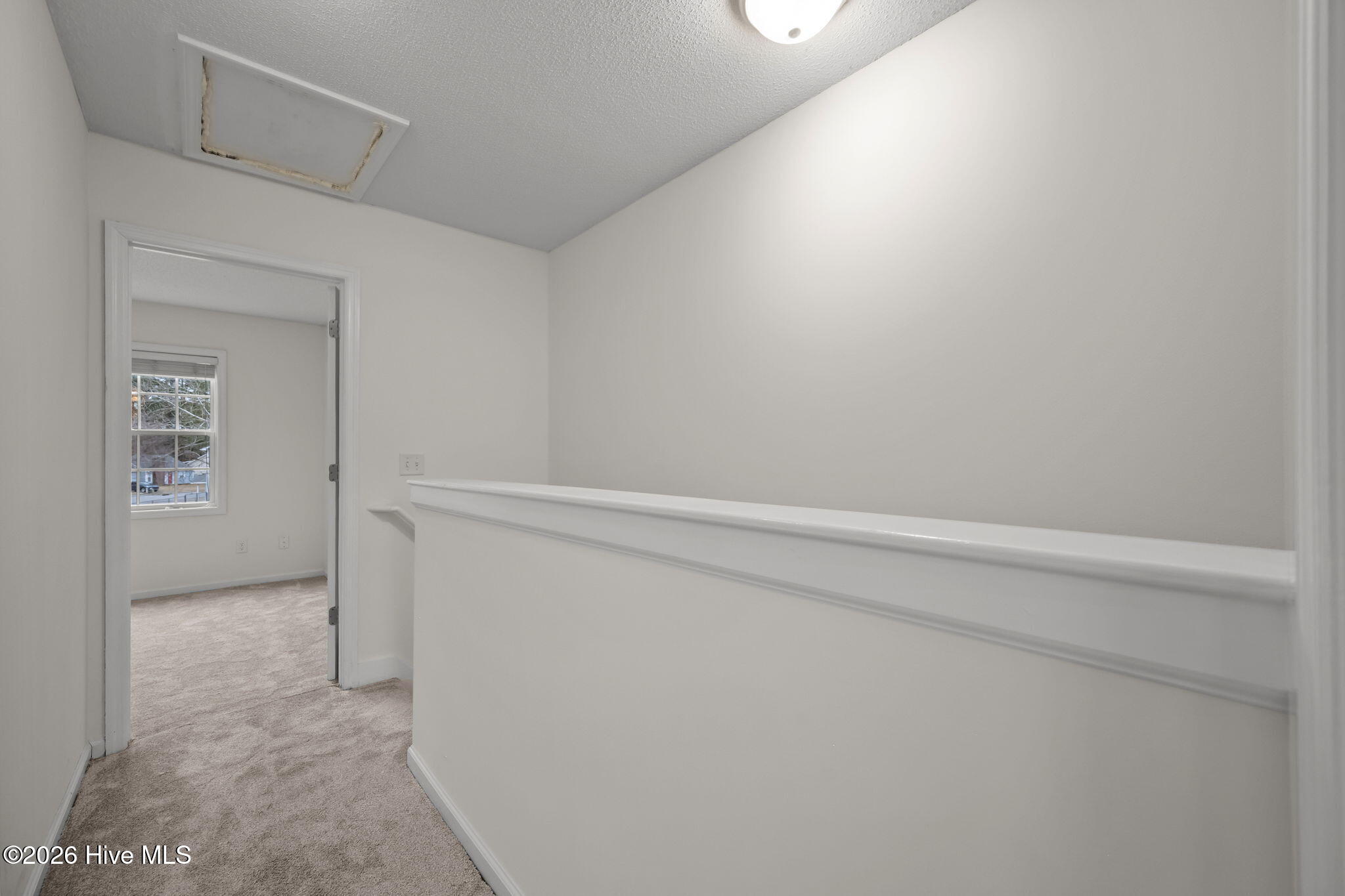 100555534 | Photo 25