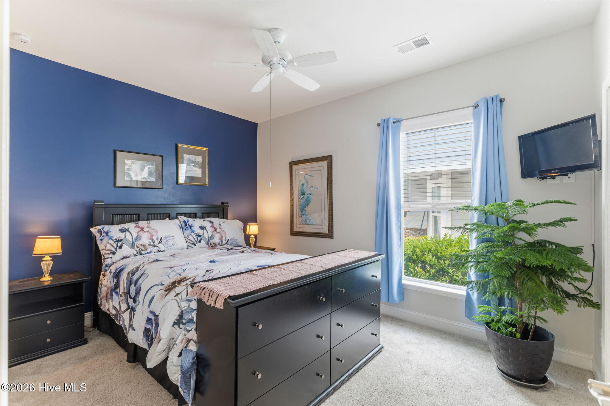 100565858 | Photo 32