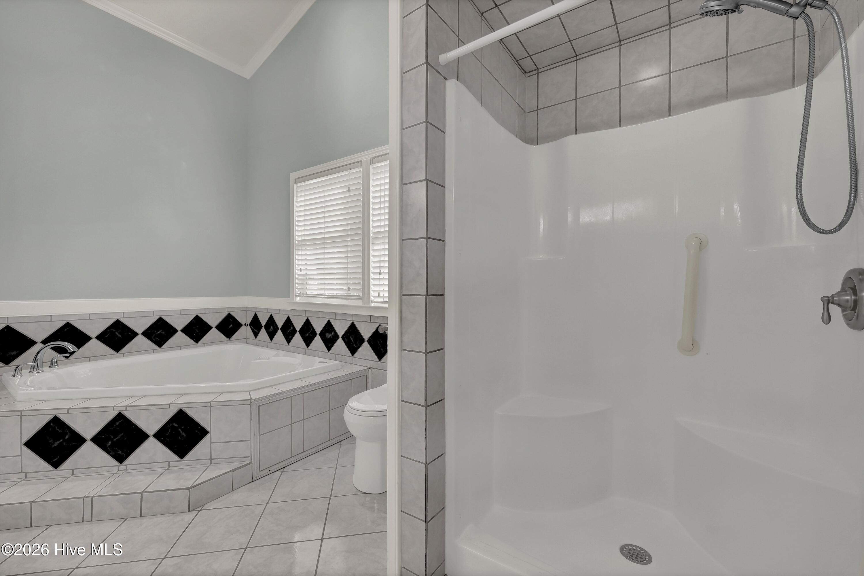 100565144 | Photo 25