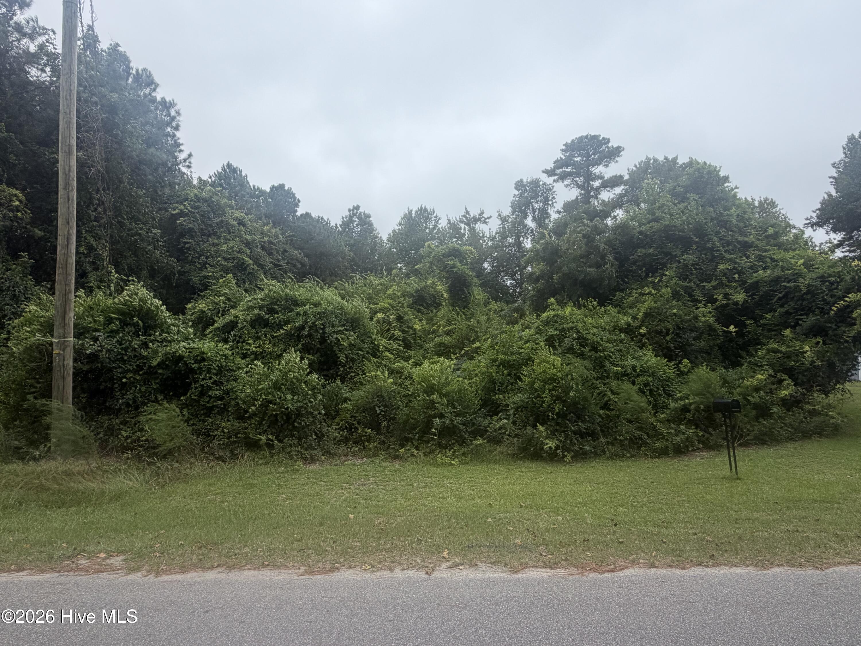 Photo 1 of Land for sale at (Undisclosed), Salemburg, NC 28385 | MLS# 100605335 | Listing updated on 2026-10-05