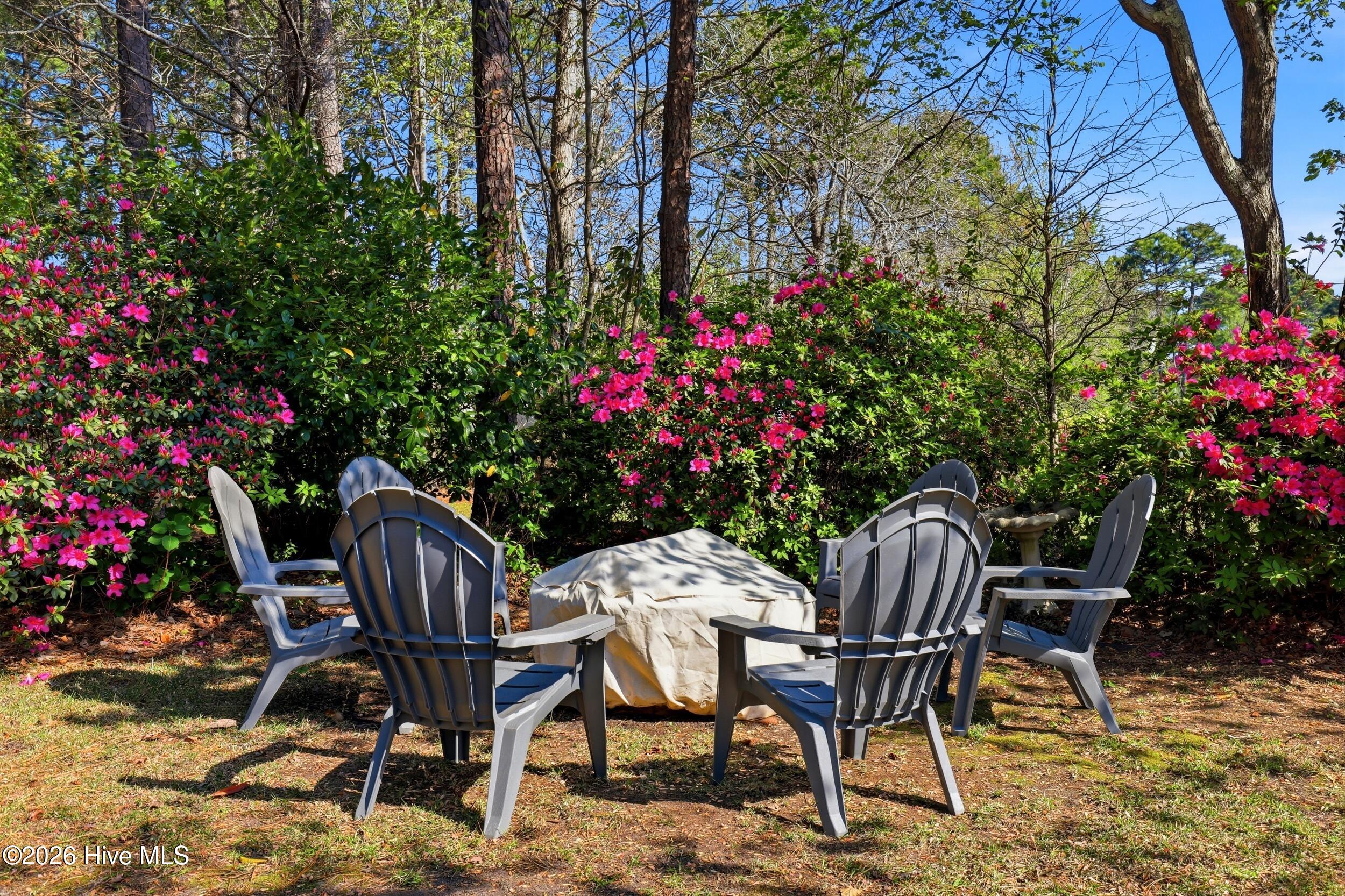 100563853 | Photo 35