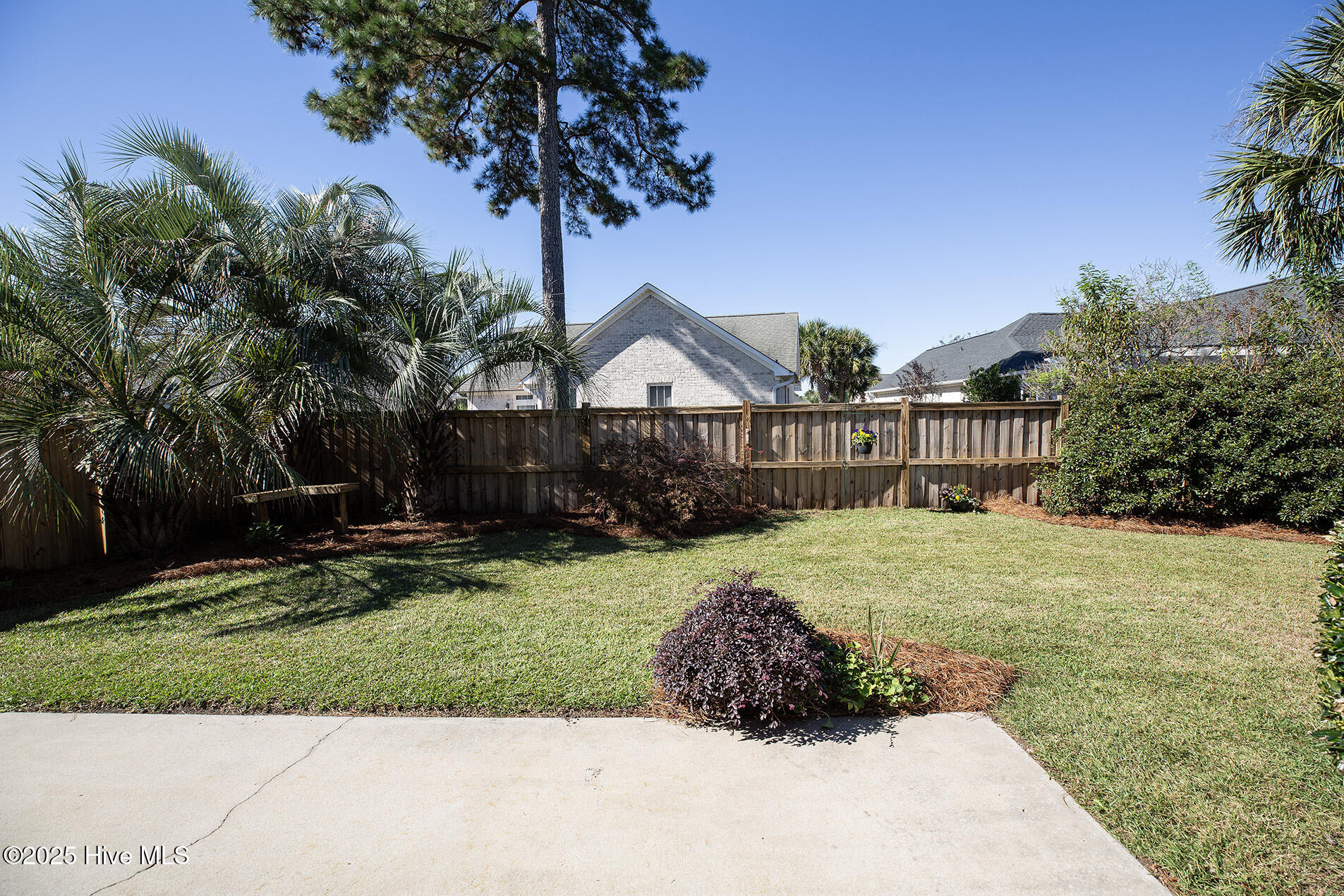 100537210 | Photo 27