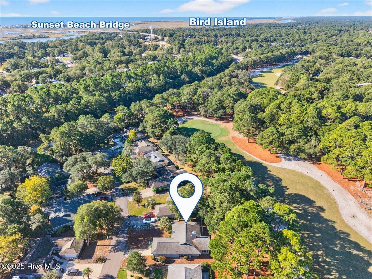 100536969 | Photo 35