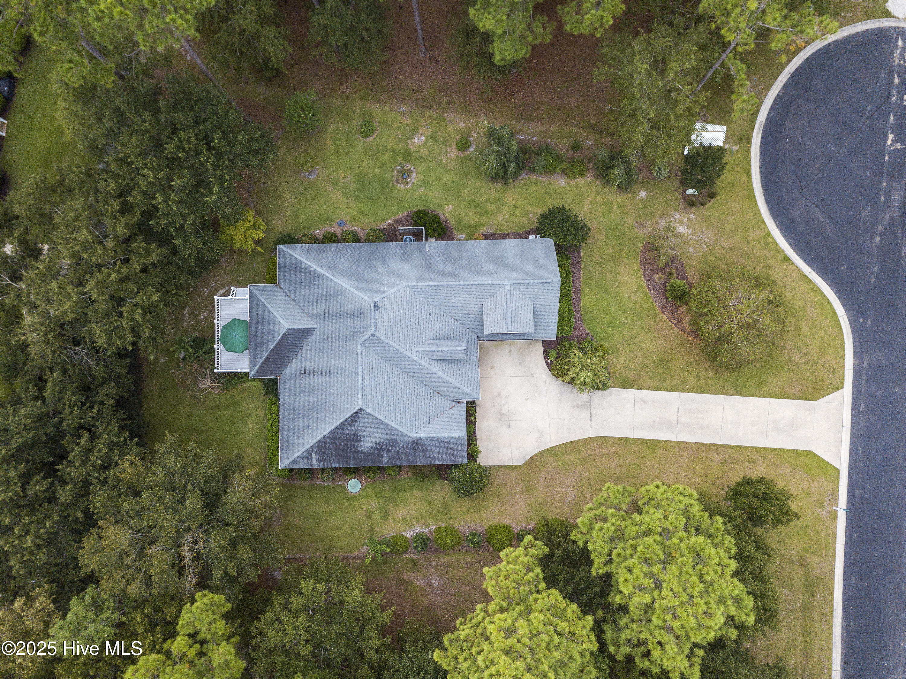 100528316 | Photo 67