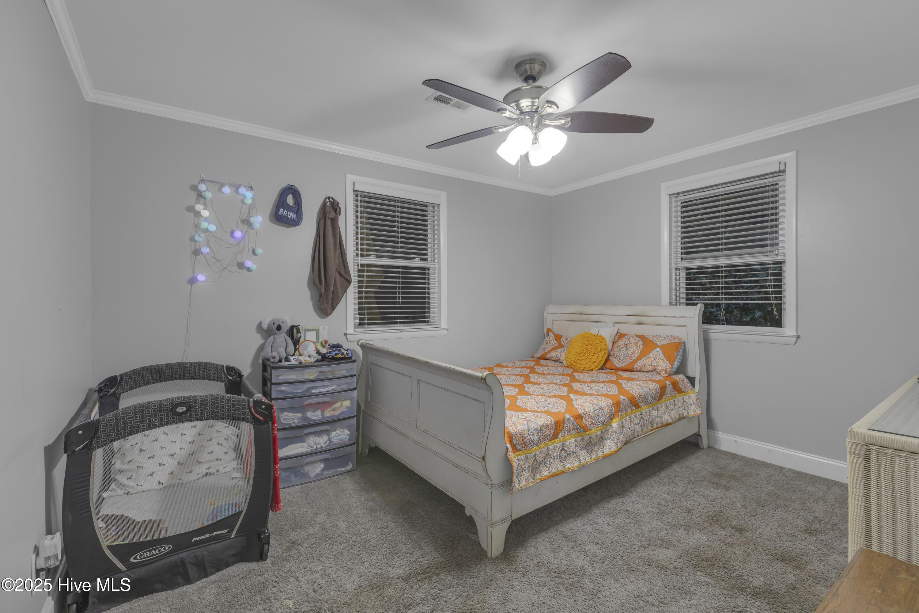 100538970 | Photo 24