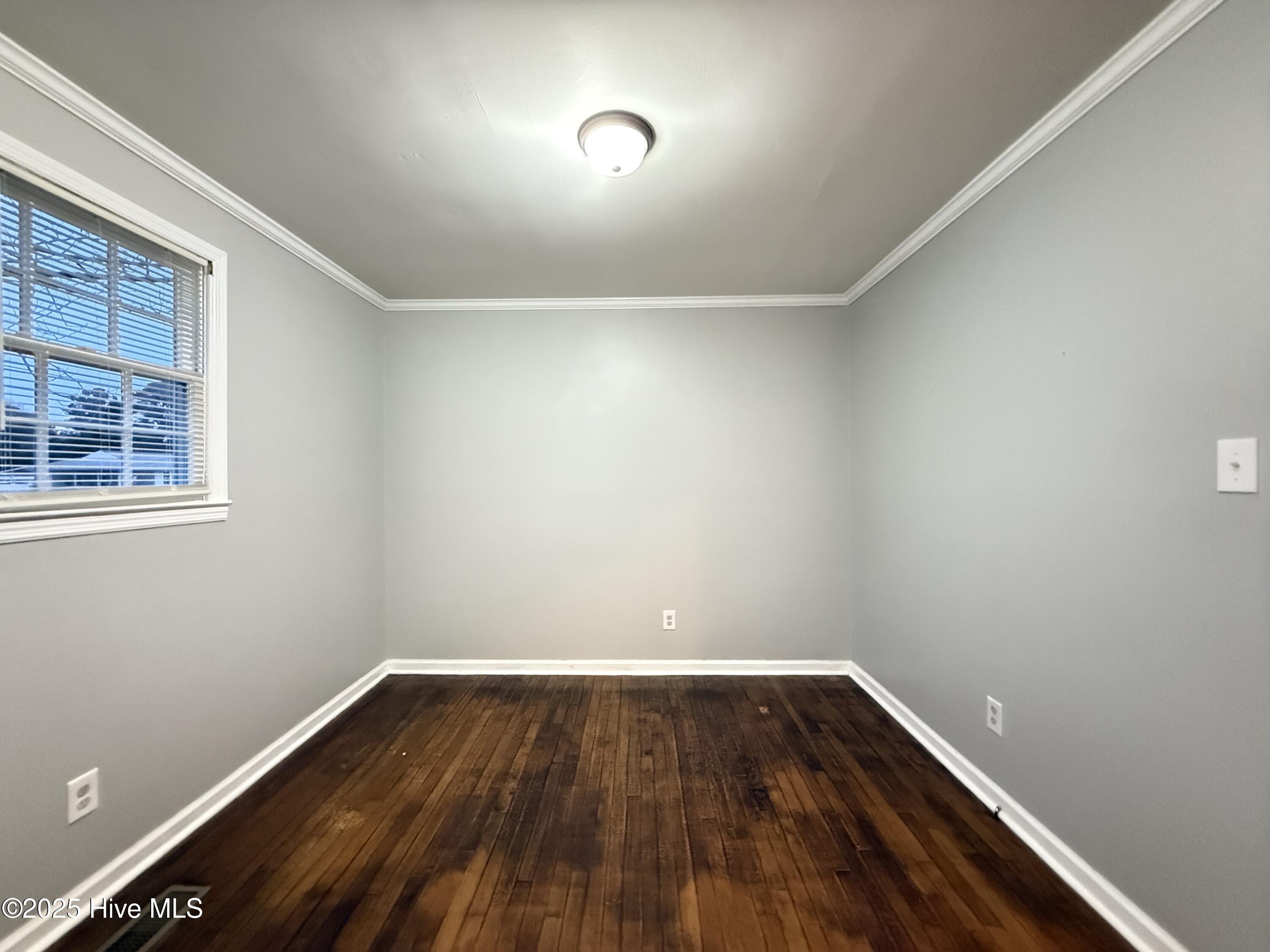 100537874 | Photo 16