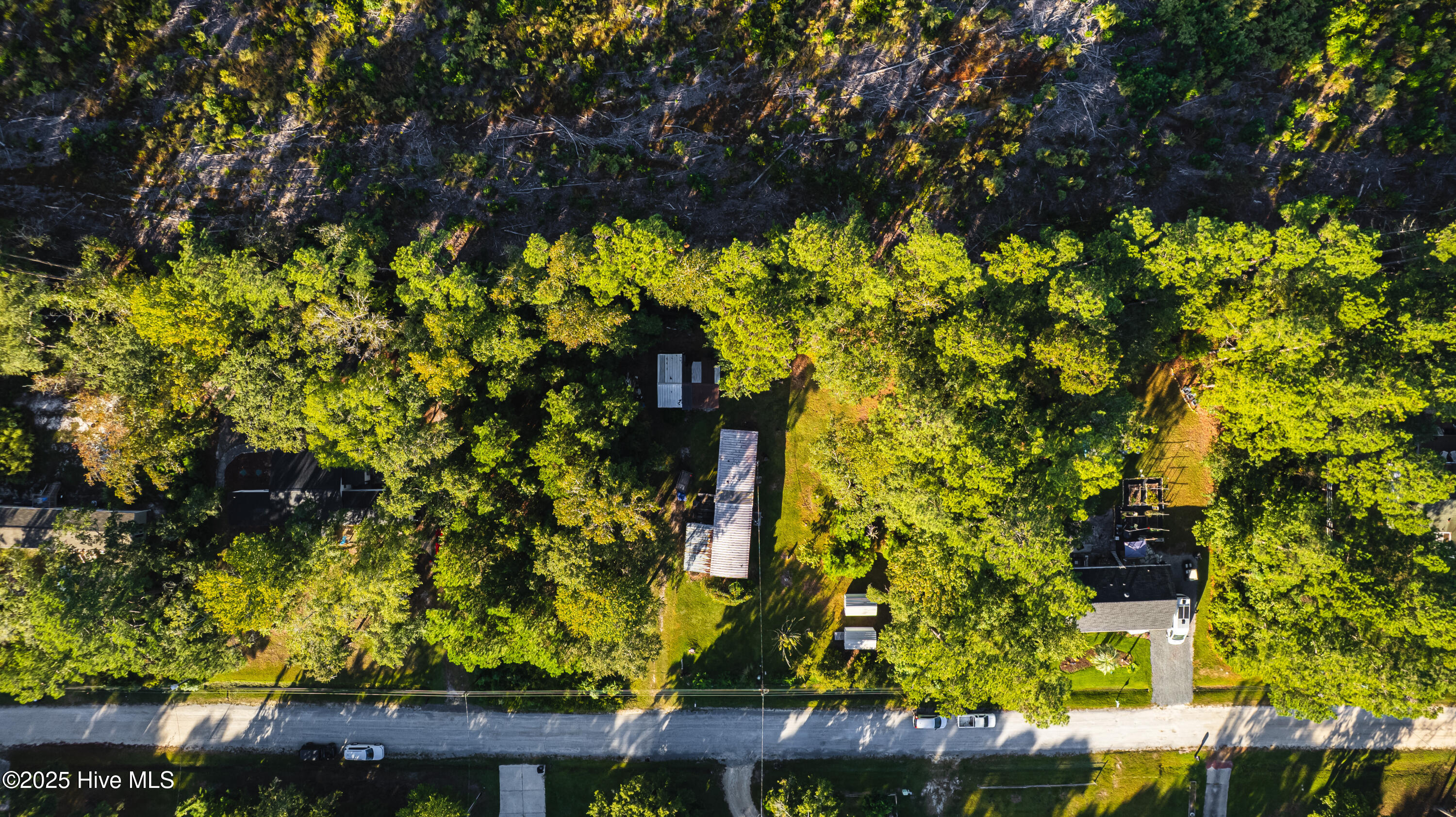 100535139 | Photo 19