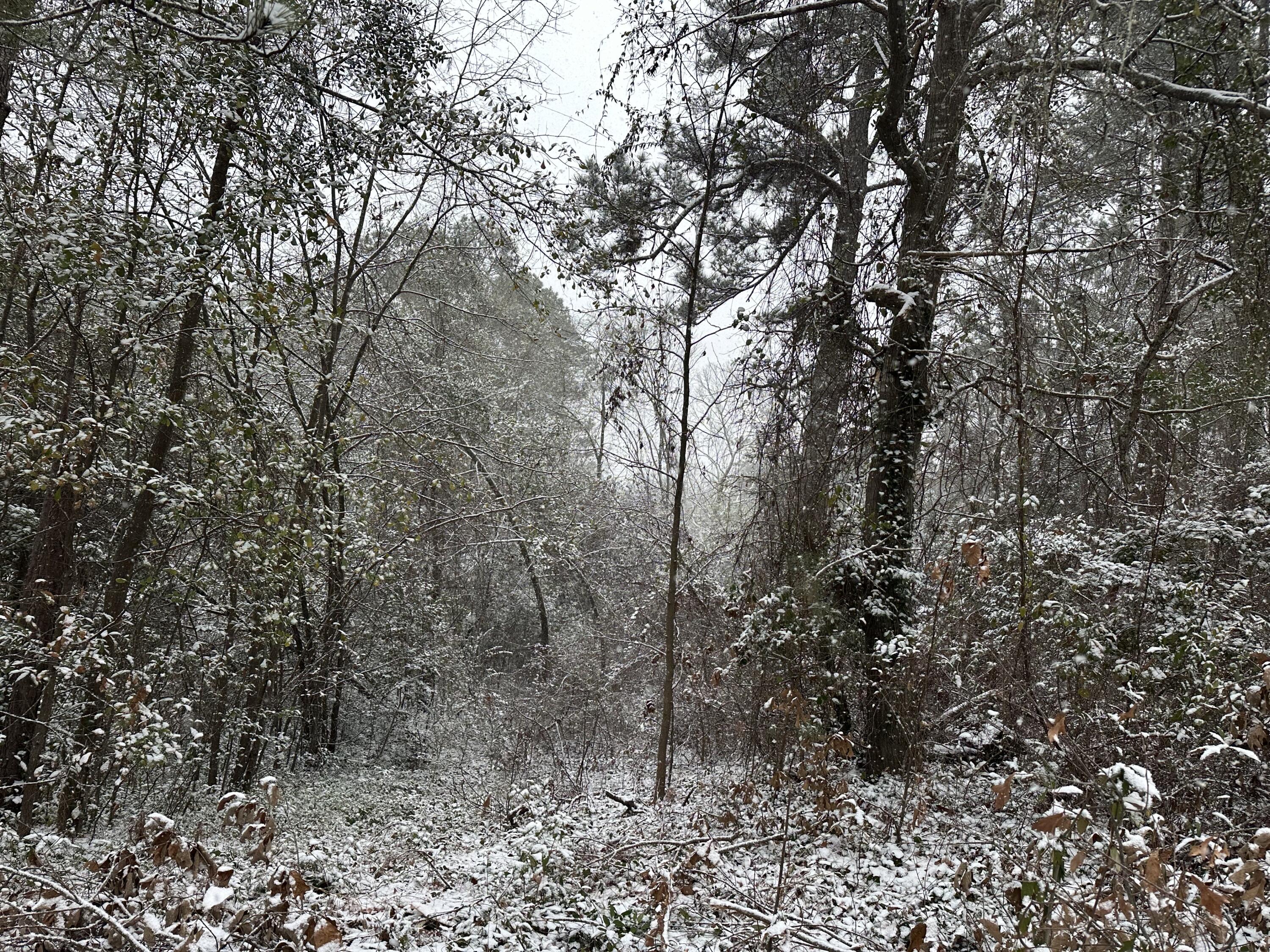 Homes for sale in Hephzibah, GA | 3512 Buckner Dr, Hephzibah, GA 30815 | MLS# 551852