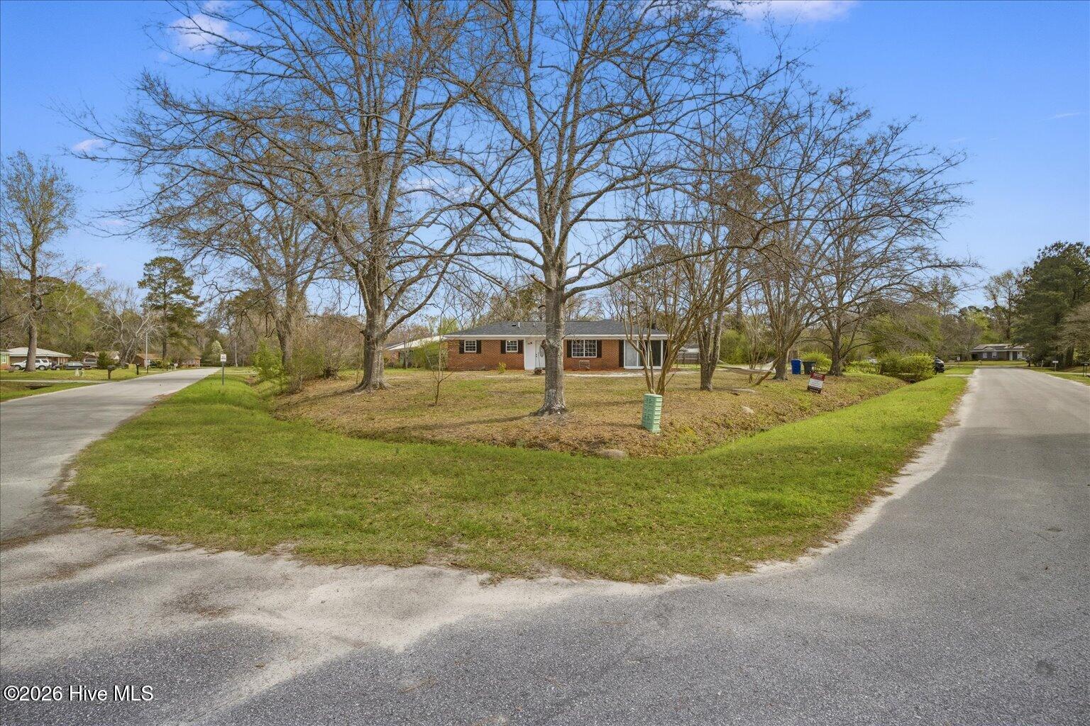 100555957 | Photo 38