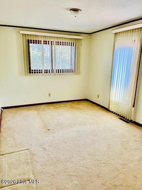 100531930 | Photo 39