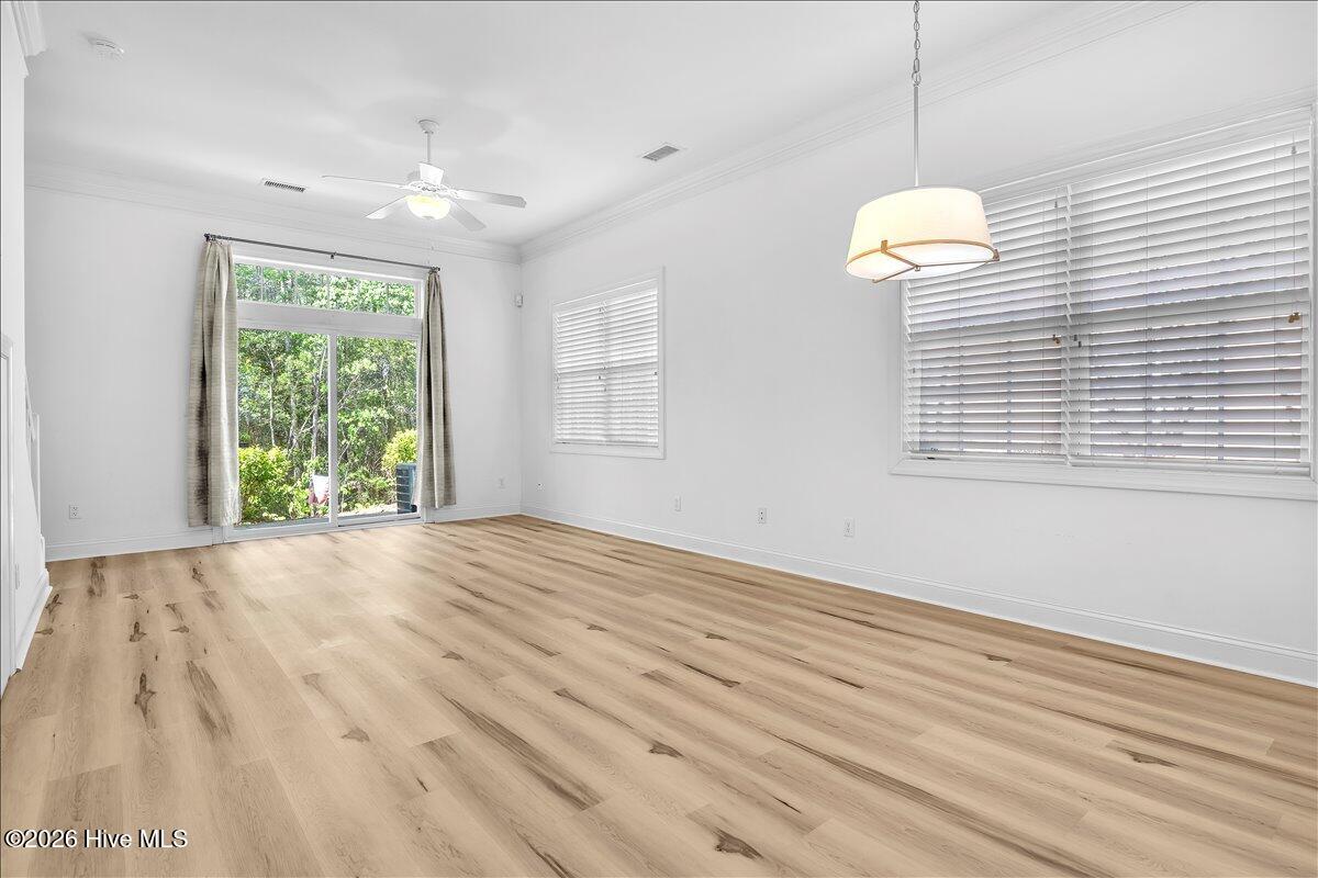 100567223 | Photo 11