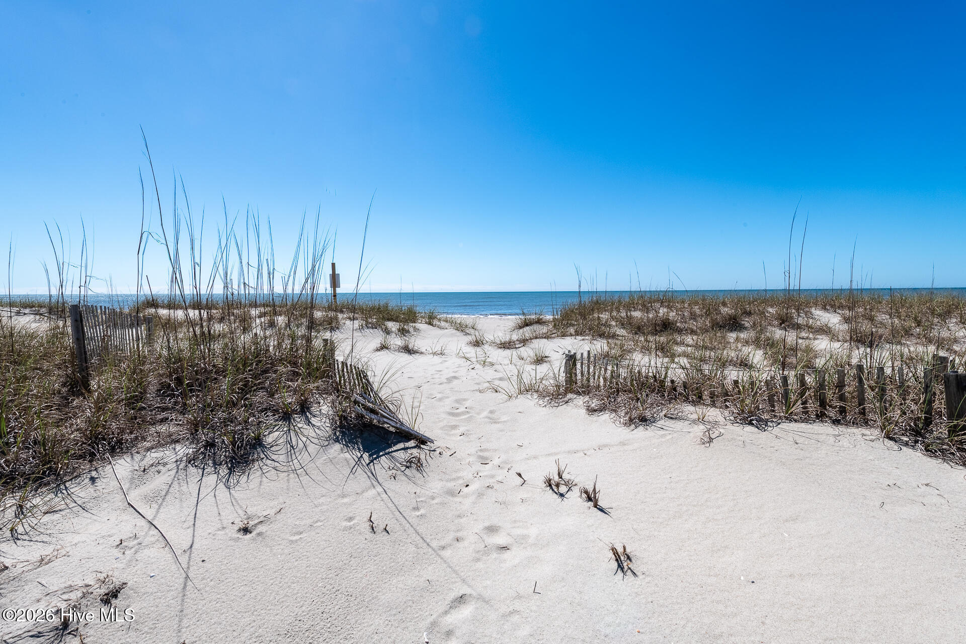 100568096 | Photo 22