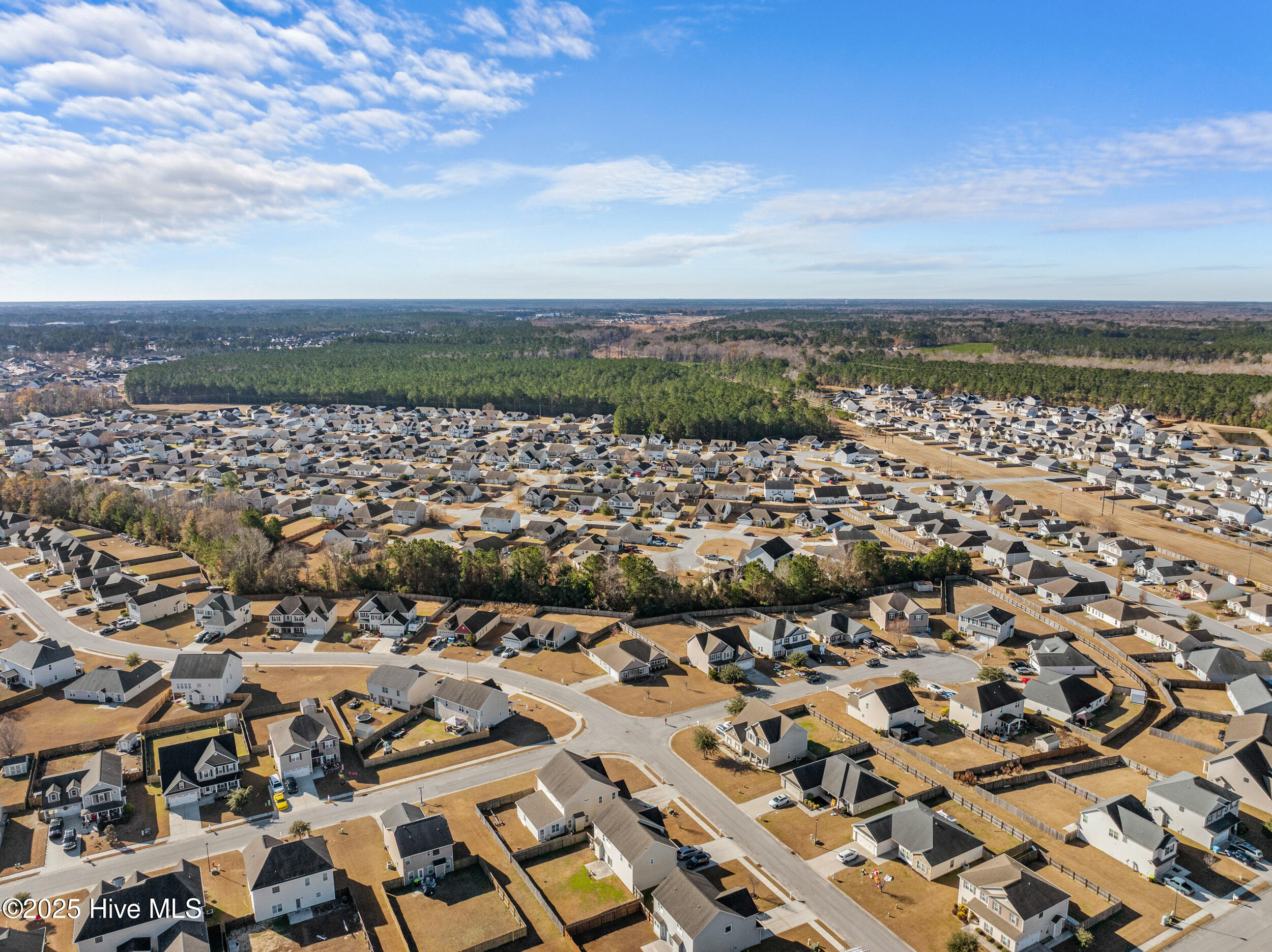 100546969 | Photo 48