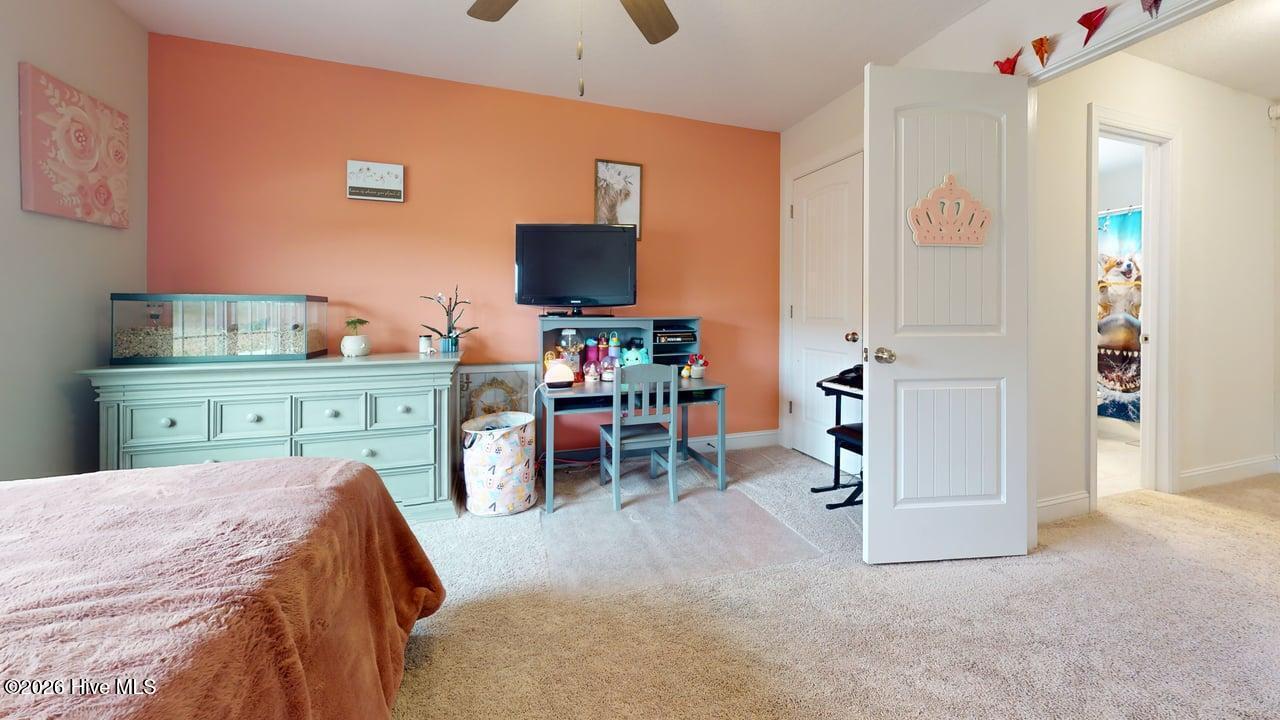 100559216 | Photo 33