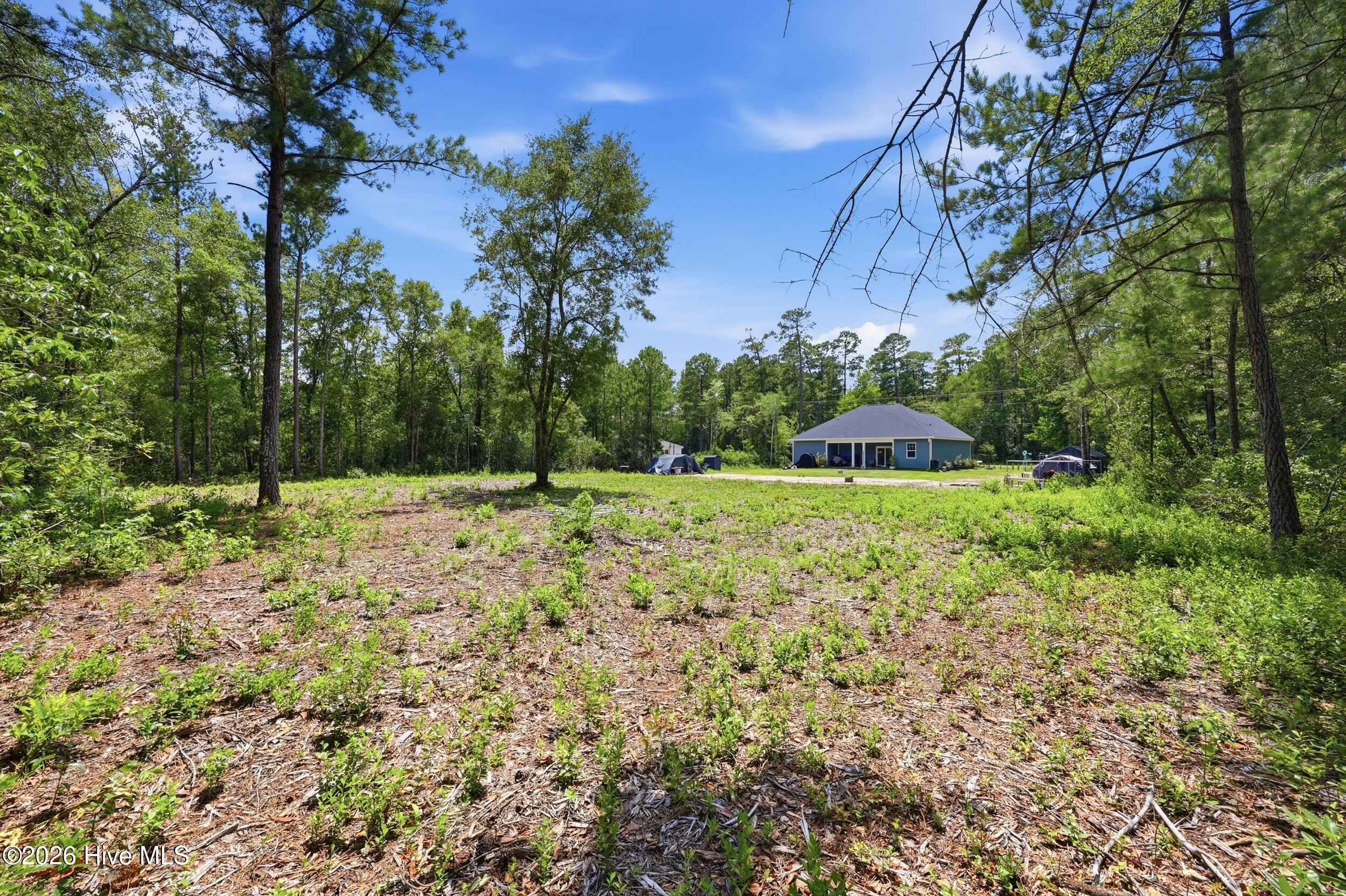 Backyard, property sit on .95 acres