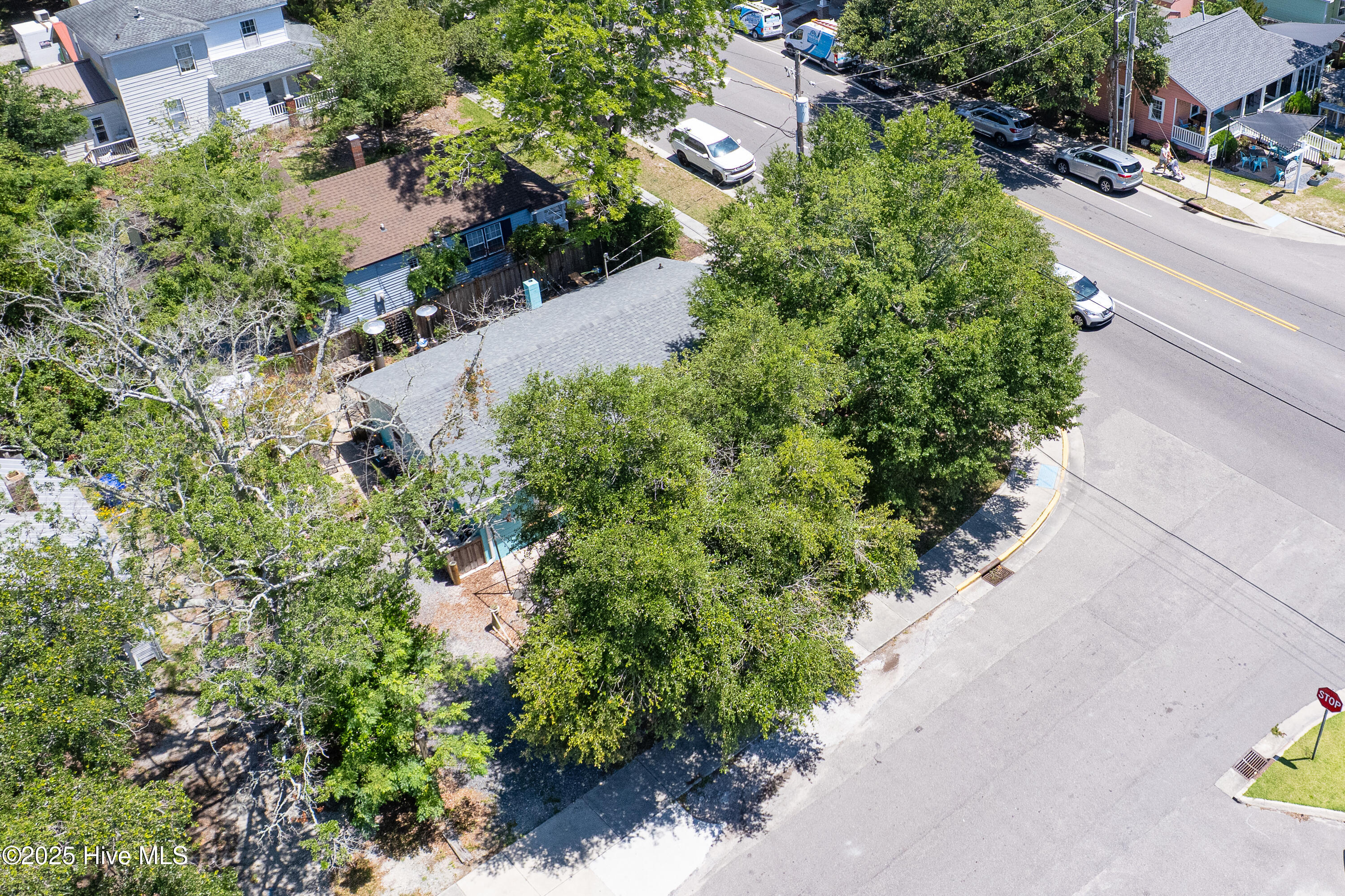 100517348 | Photo 12