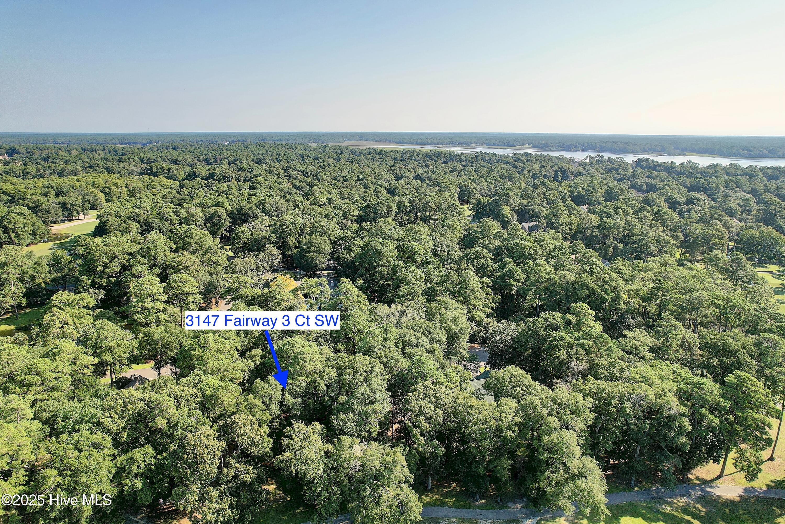 3147 Fairway 3 Court SW, Supply, NC, 28462