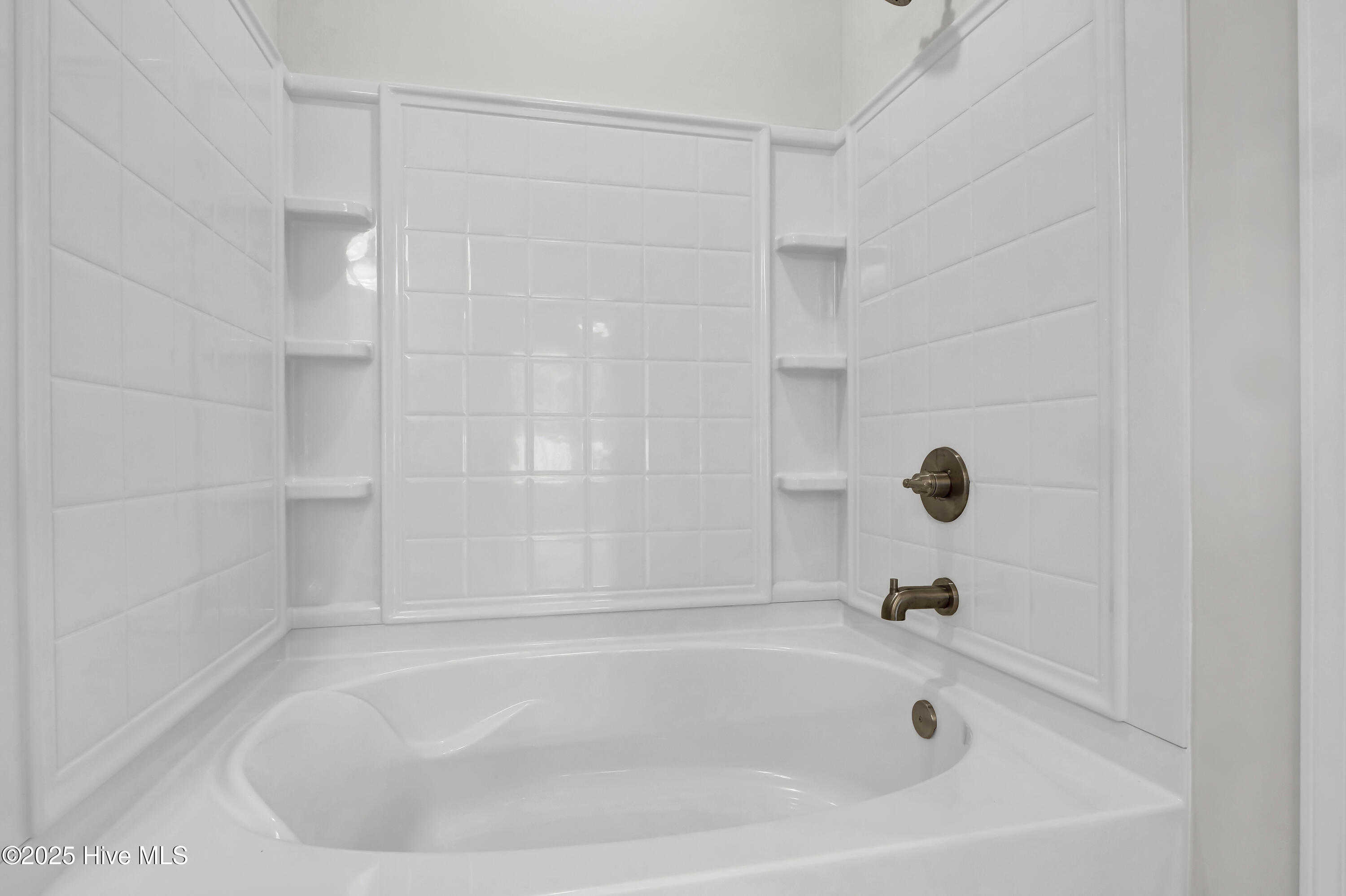 100538172 | Photo 18