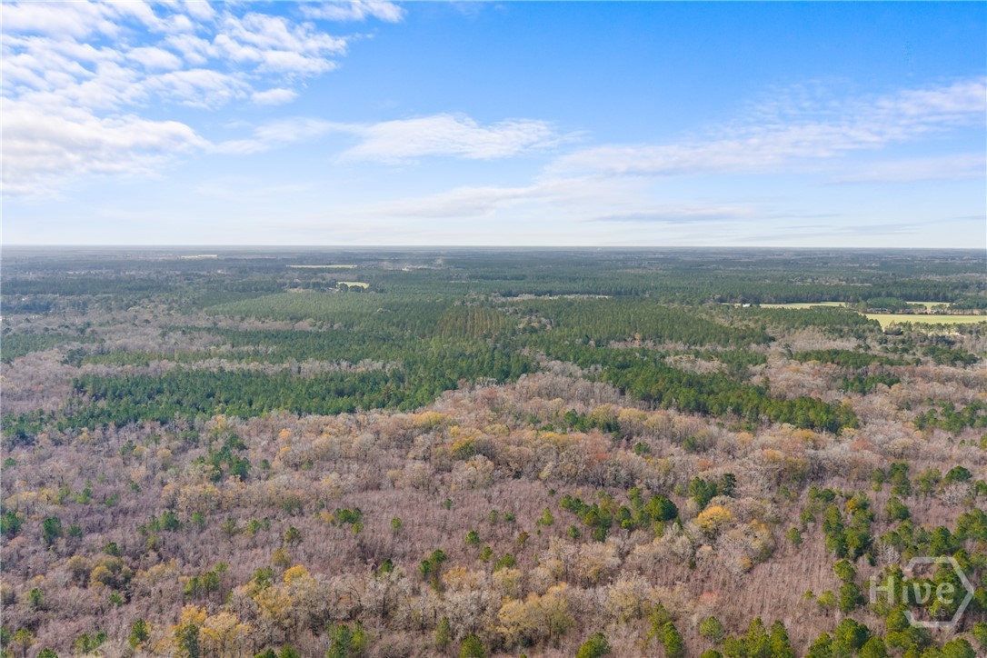 1000 Old River Road S, Brooklet, GA, 30415