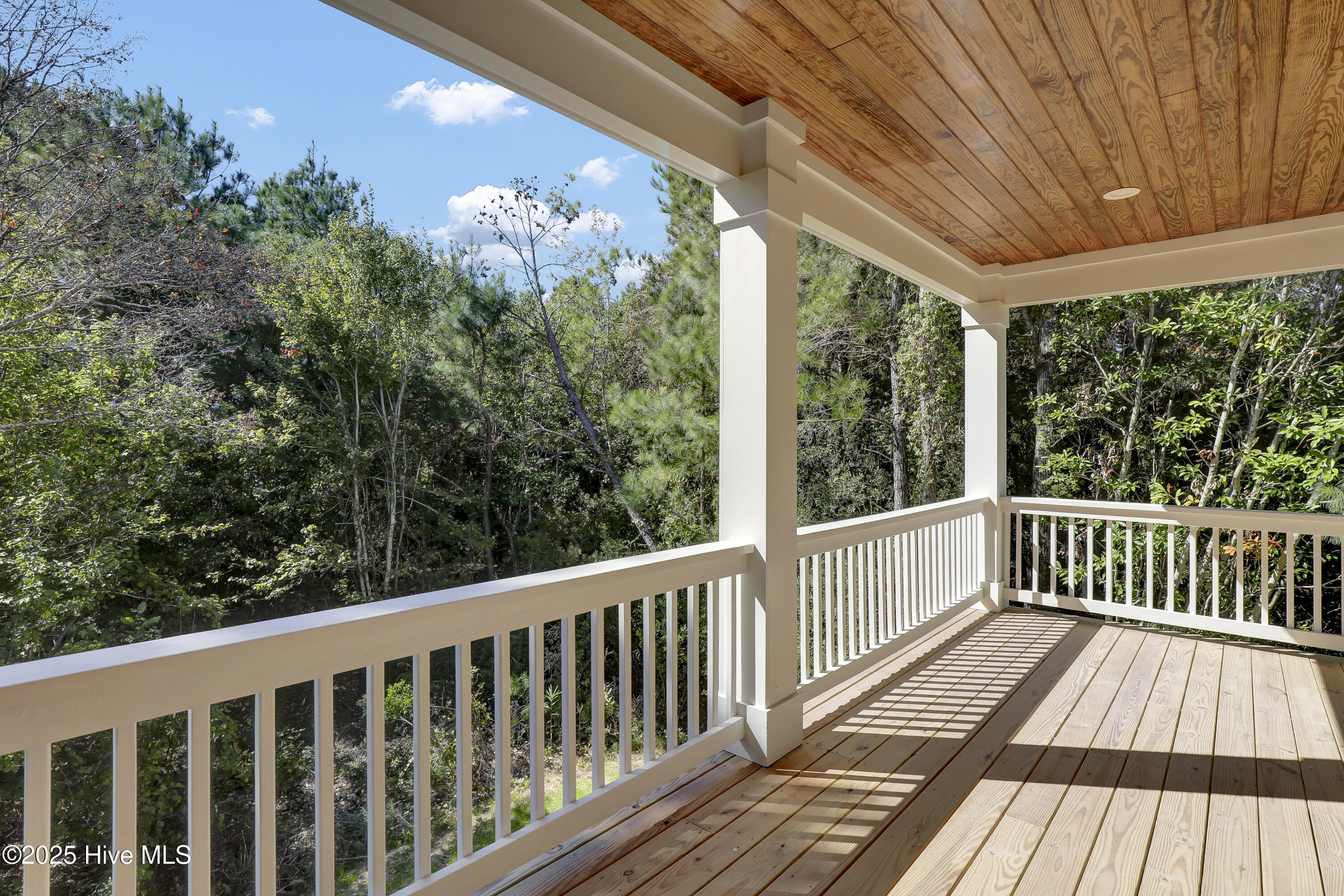 100536575 | Photo 12