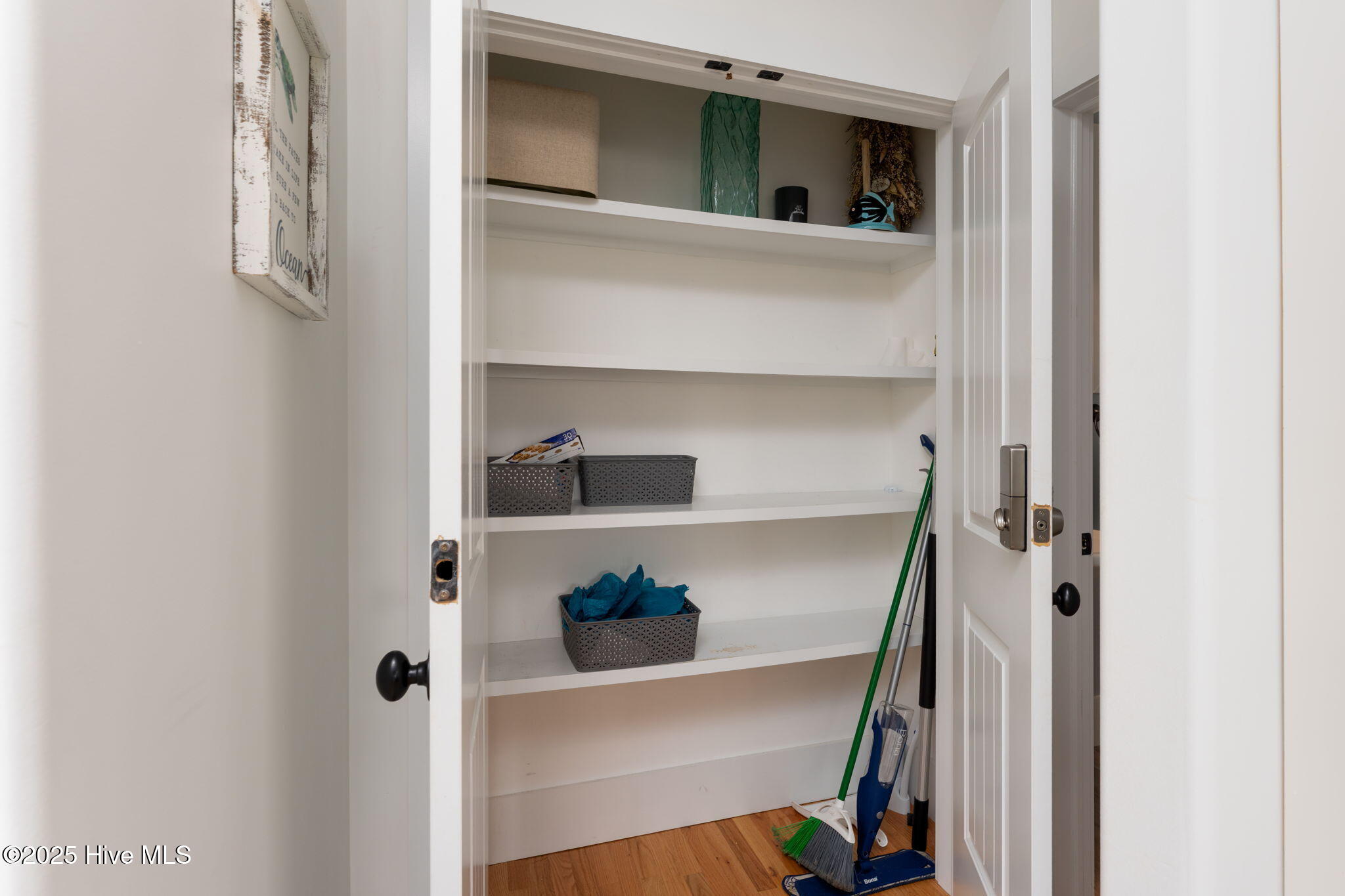 100537095 | Photo 15