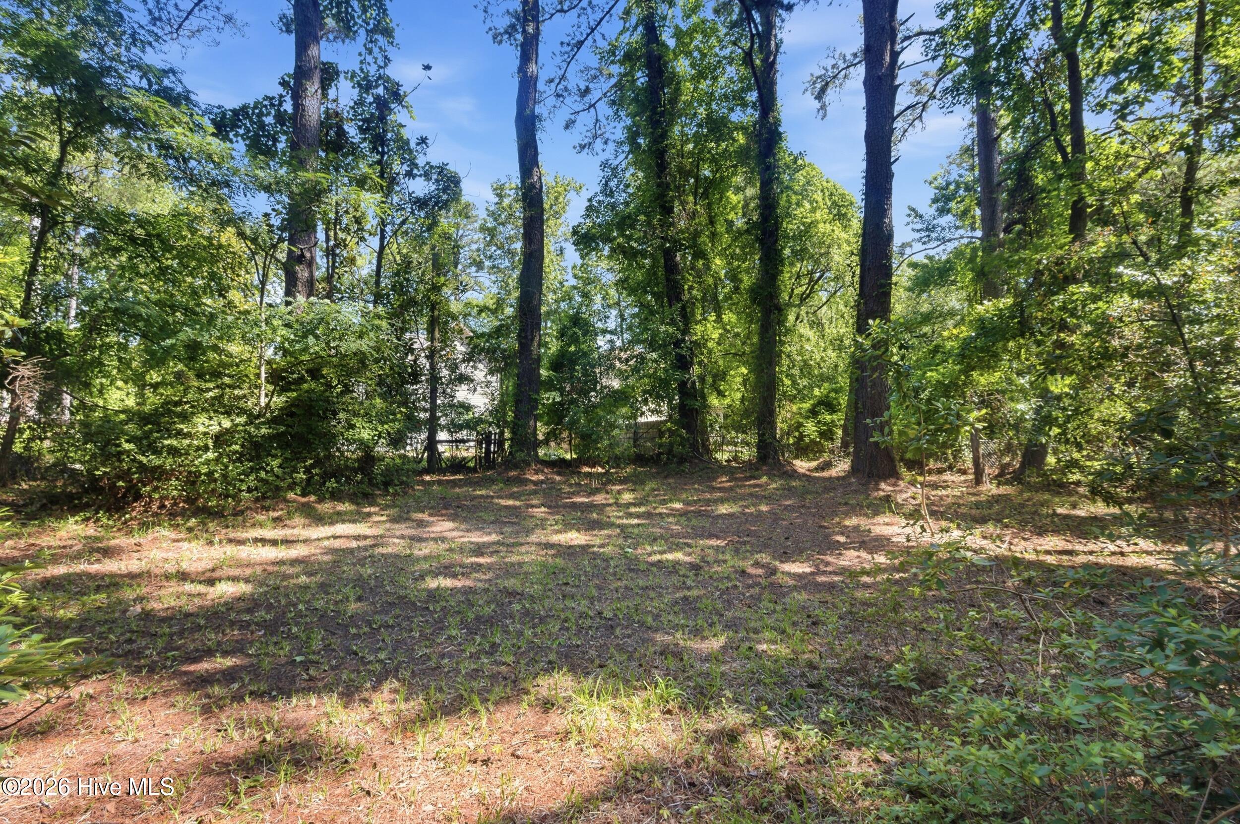 1904 Chestnut Avenue,New Bern